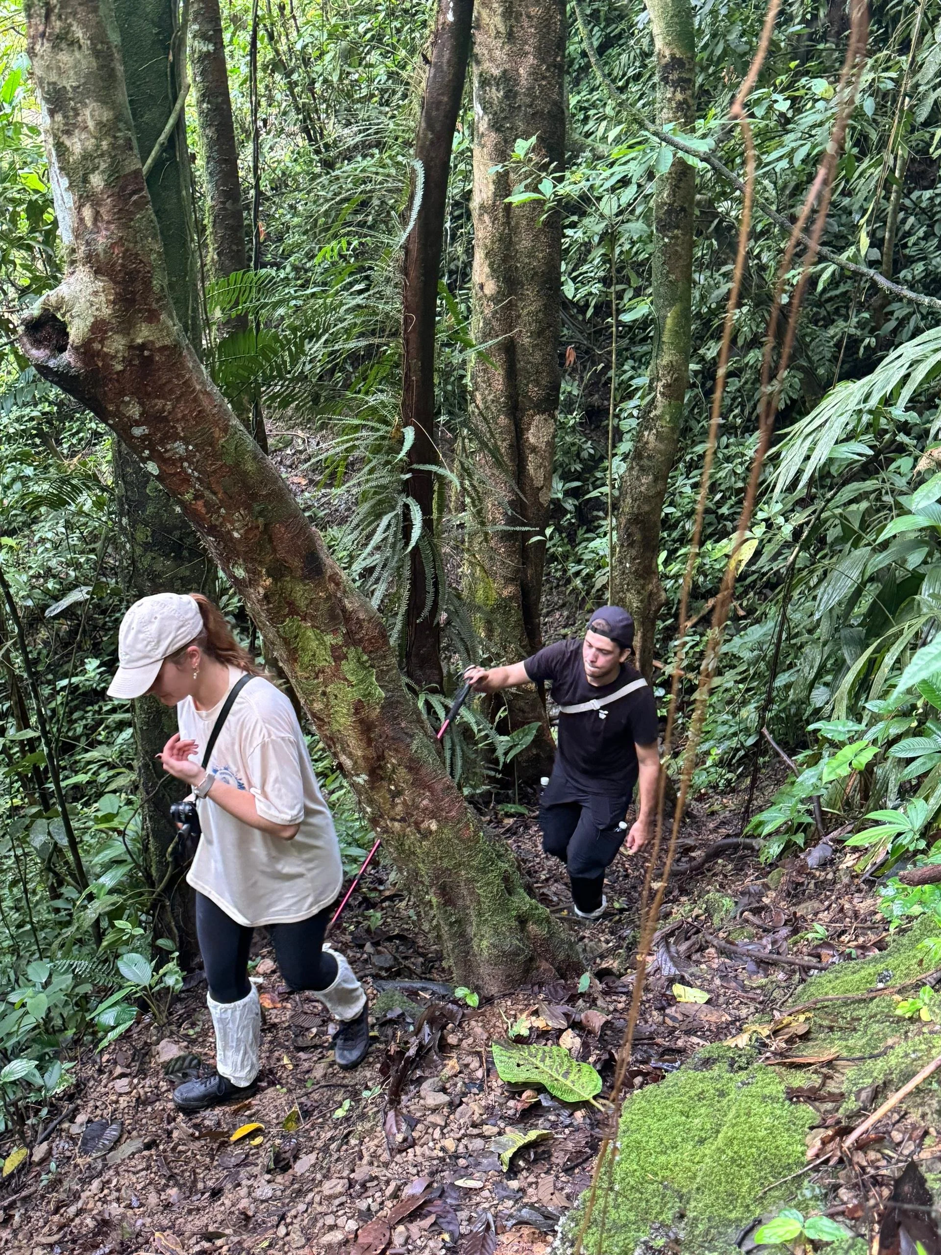 Two people hiking through a dense, tropical rainforest with lush green foliage, tall trees, and a muddy, rocky trail.