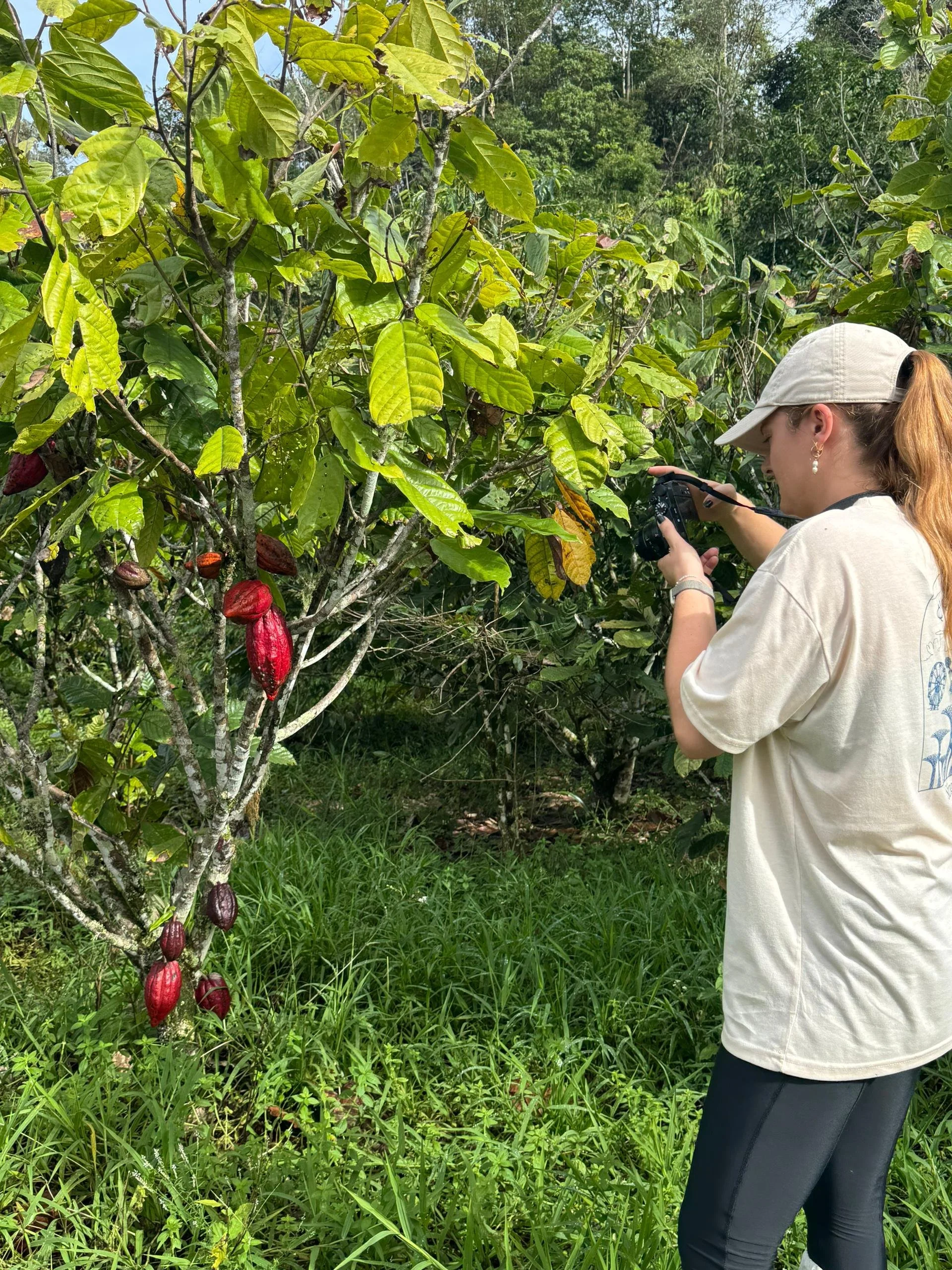 A woman in a beige cap and oversized beige t-shirt is taking photos of a cacao tree with red cacao pods in a lush green outdoor setting.