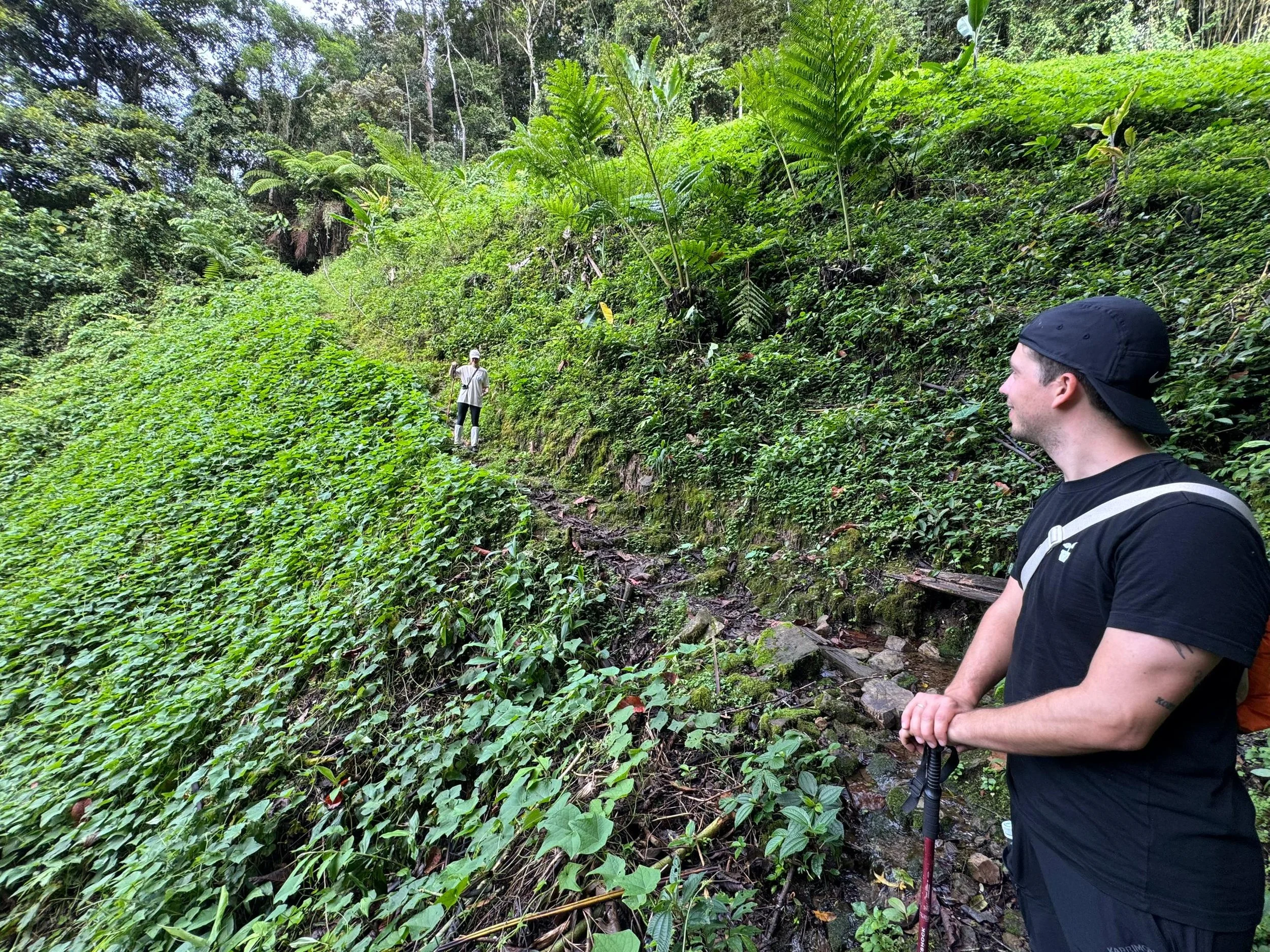Two men hiking in a lush, green forest along a narrow trail covered with vegetation.