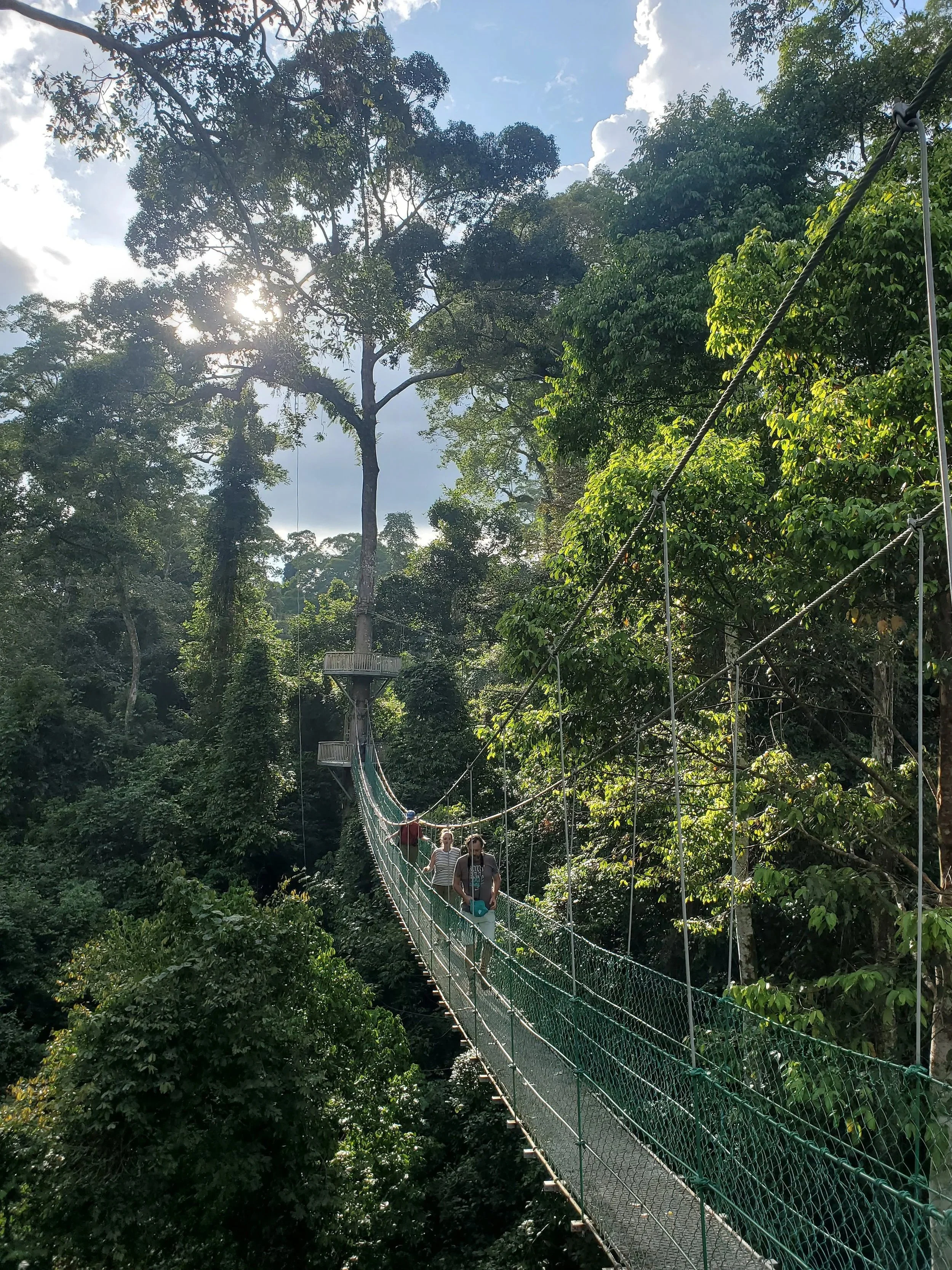 A suspension bridge in a dense jungle with tall trees, a few people walking across it, and sunlight filtering through the canopy.