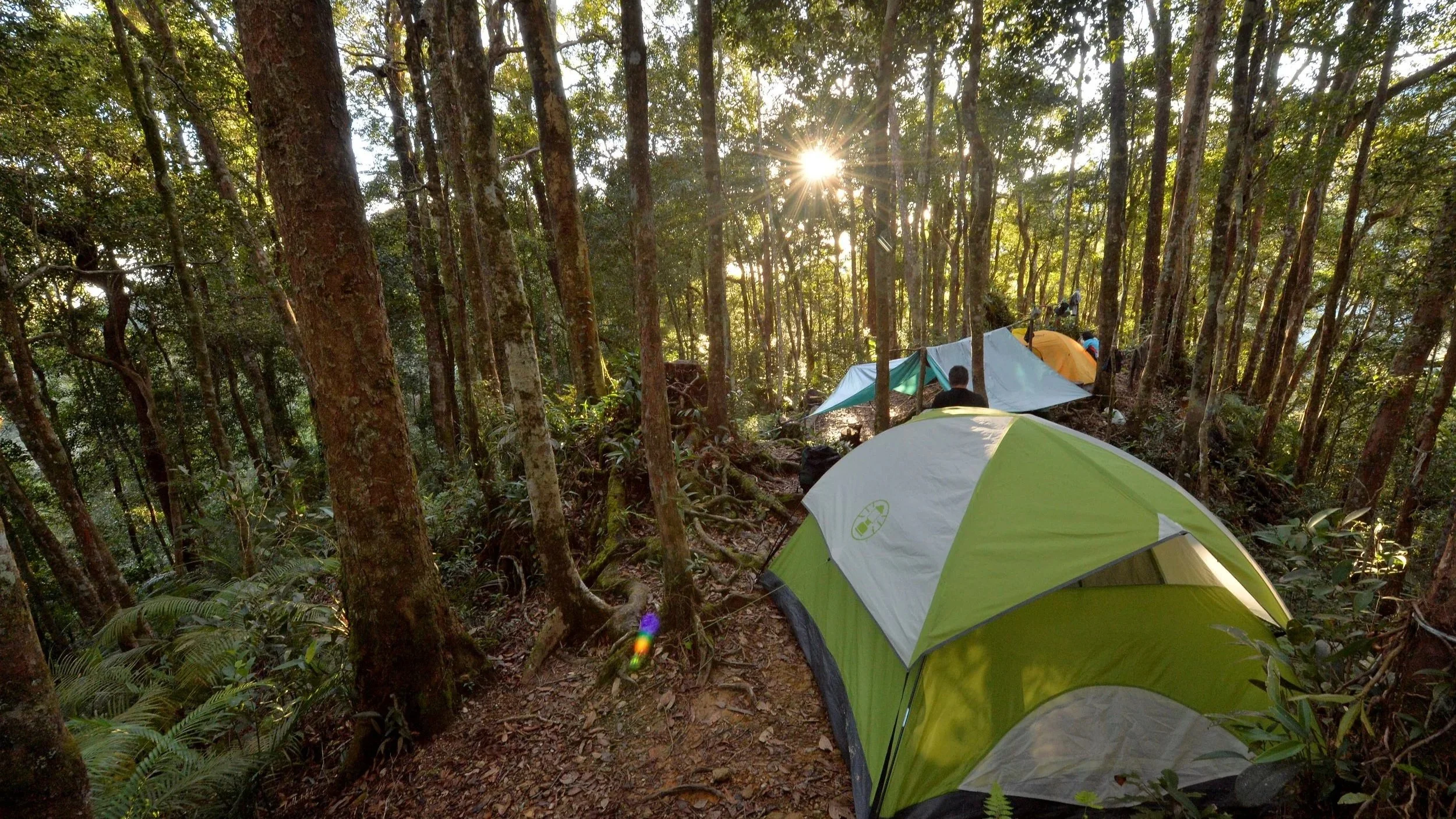 TRUS MADI.  Conquer Sabah's untamed second peak — dense cloud forest, zero crowds, pure wilderness.   SUMMIT CLIMB.  3-4 DAYS.  CHALLENGING