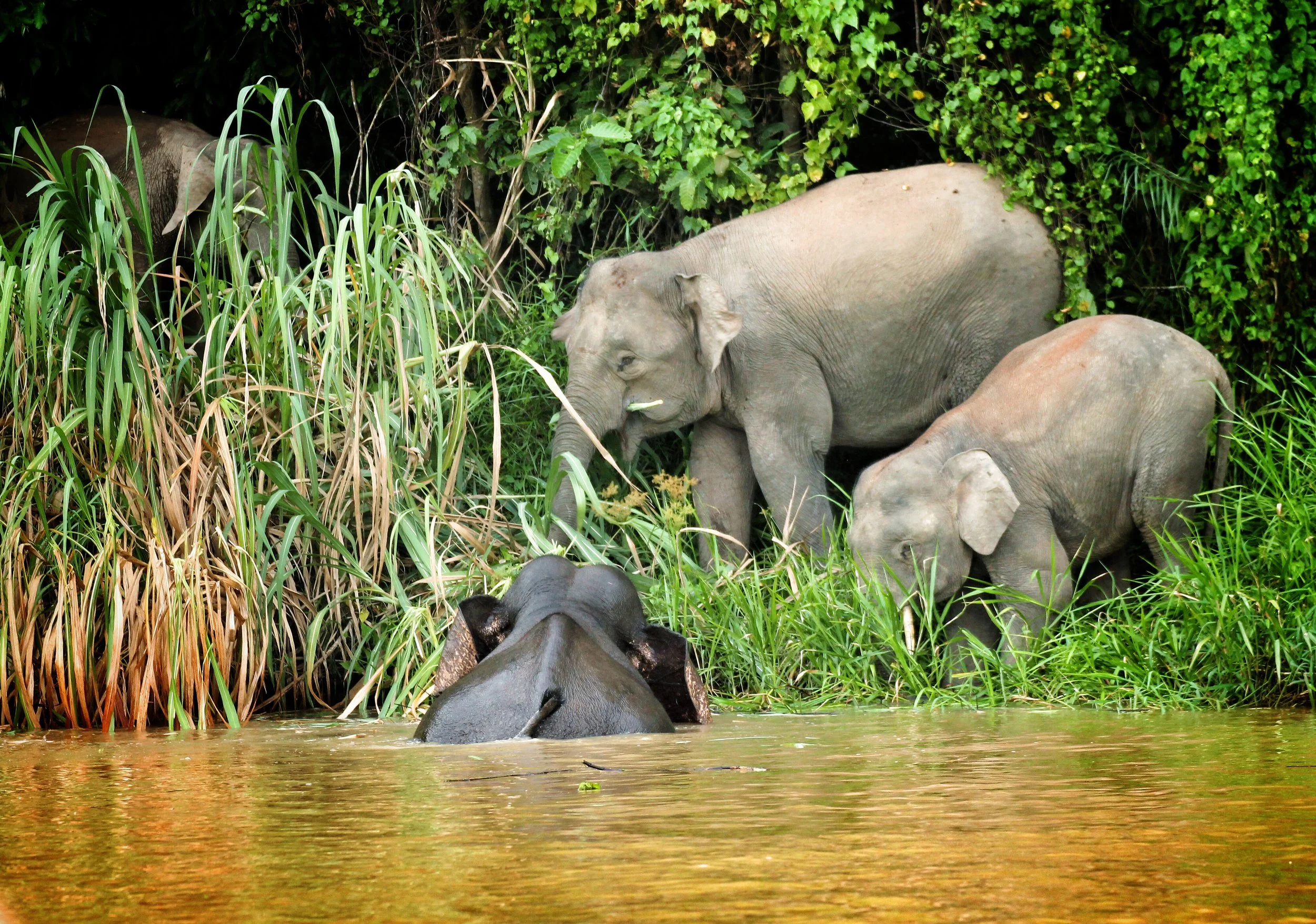 Sabah_Tourism-Soo Wen Yi-PIC_209.jpg