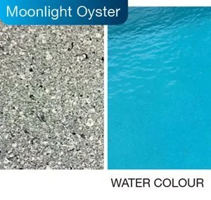 Moonlight-Oyster_jpg_300_285.webp