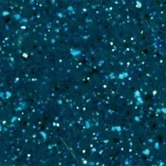 Pacific Pool Colour by Compass Pools