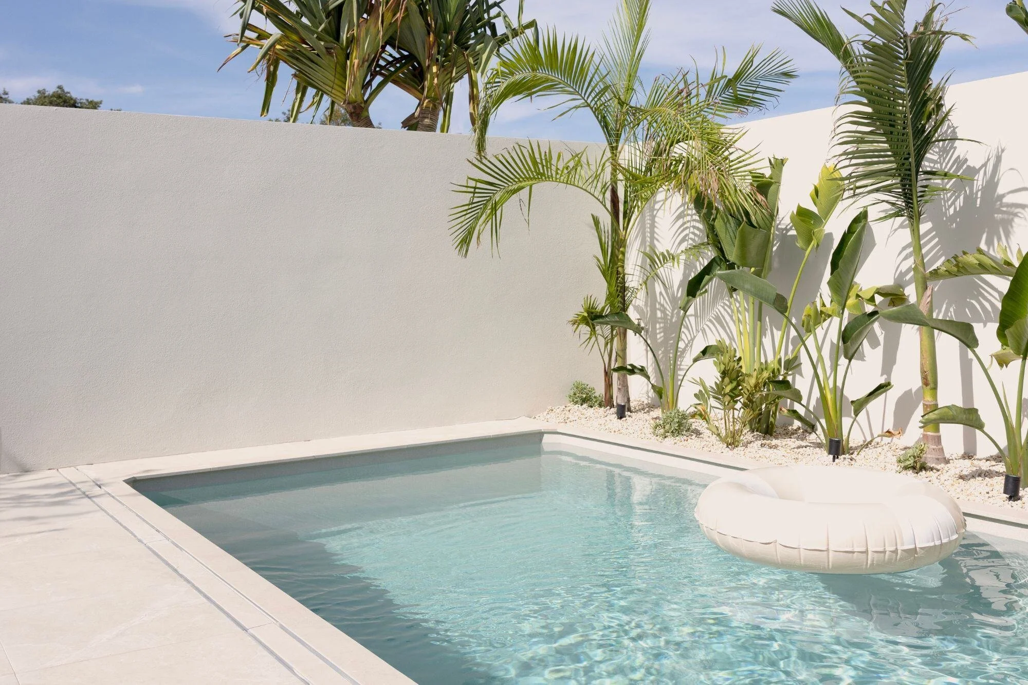 A modern backyard swimming pool surrounded by a white concrete deck and a white privacy wall. Tall palm trees with green fronds cast shadows on the wall, creating a tropical ambiance.