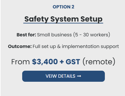 Section of a webpage titled 'Option 2: Safety System Setup' advertising a setup for small businesses with 5-30 workers, offering full support from $3,400 plus GST, with a call-to-action button labeled 'View Details'.
