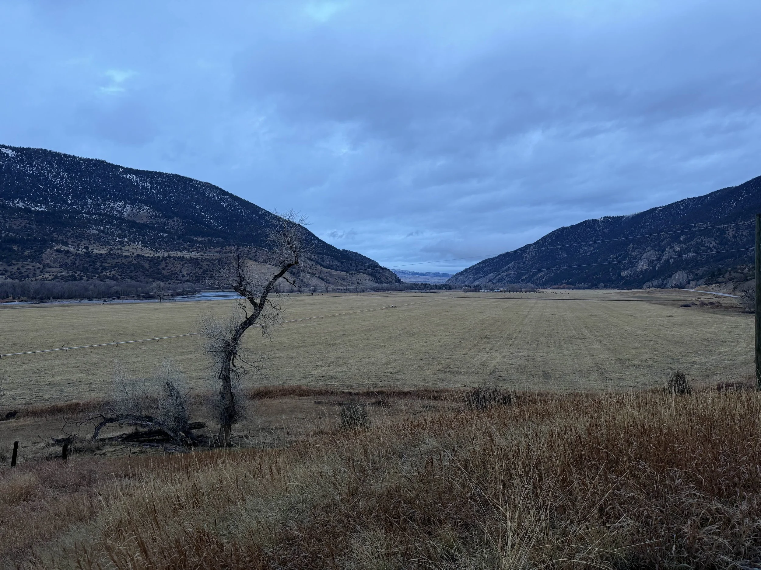 Rolling grassy fields and mountains in rural Montana countryside – Cradle of Life LLC
