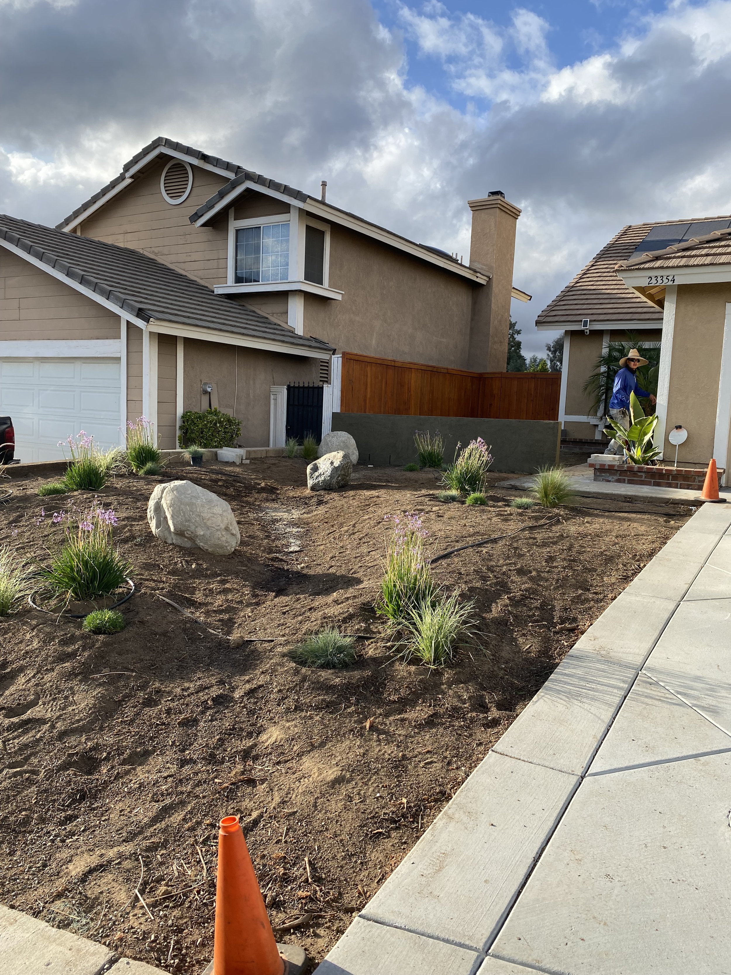Residential front yard landscaping in progress with newly planted drought-tolerant plants, large rocks, and trees, along with a sidewalk and traffic cone, in a suburban neighborhood.