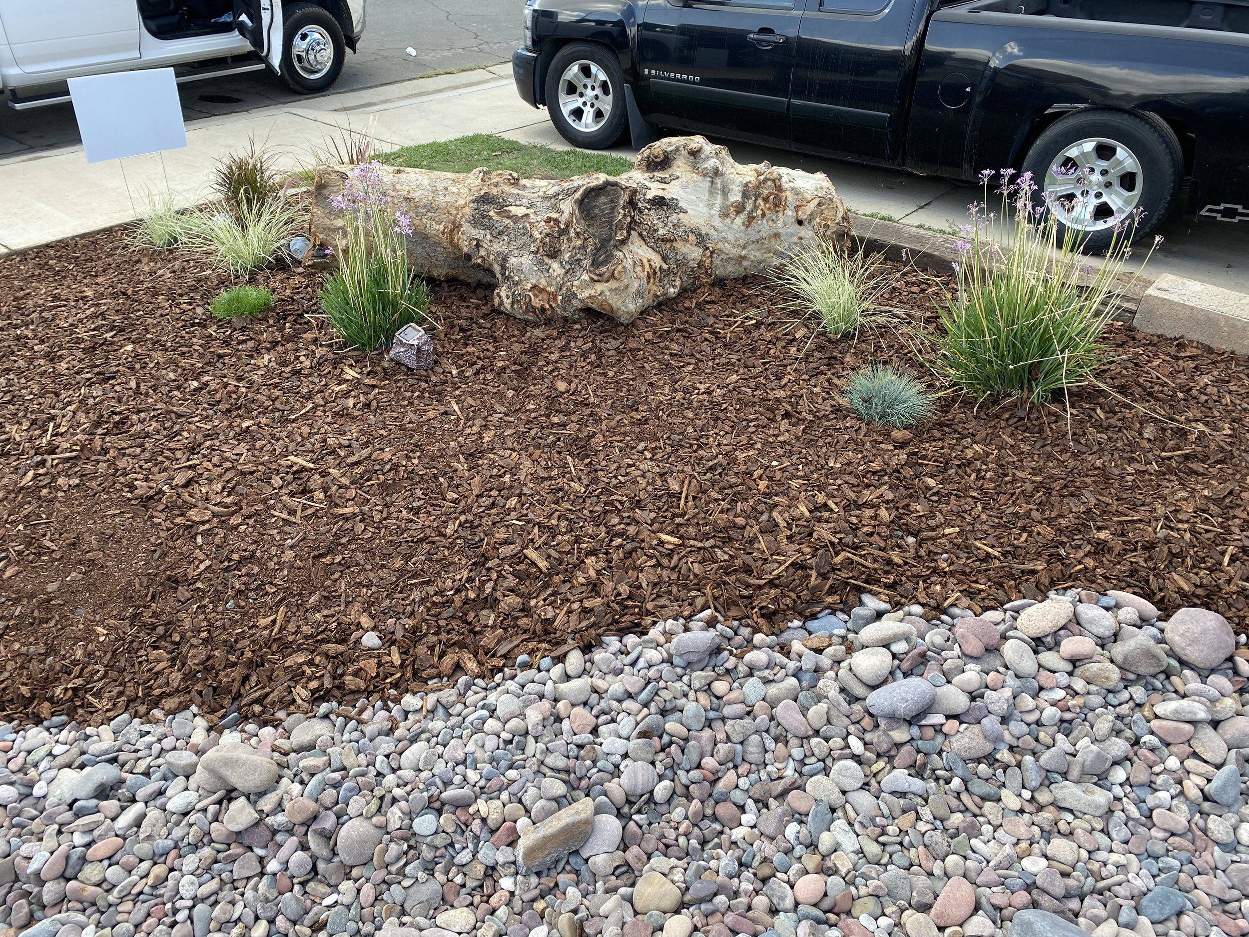 Landscape with brown mulch, decorative rocks, and drought-tolerant plants surrounding a large piece of driftwood, Located in Murrieta CA