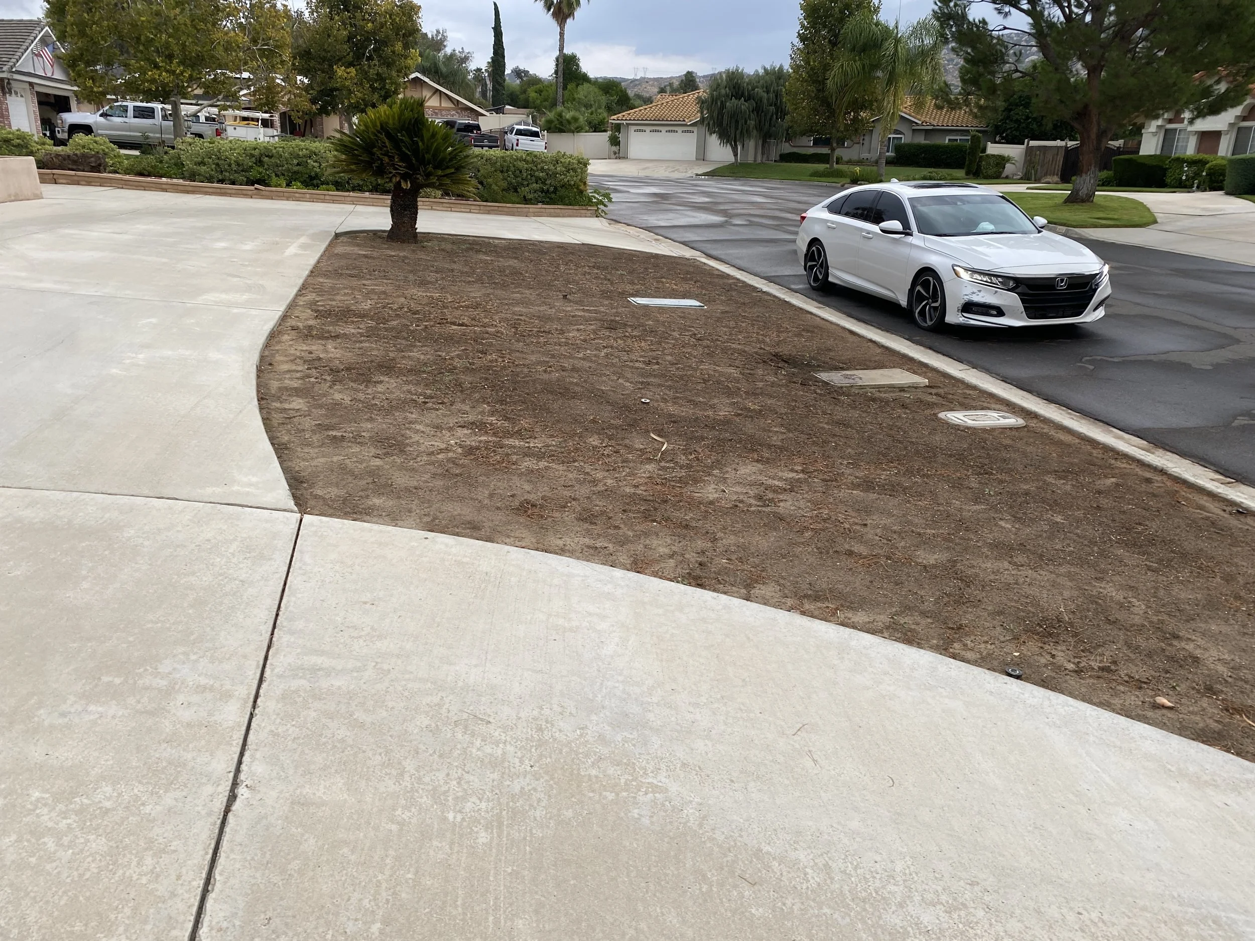 Residential neighborhood with a sidewalk and a small landscaped area with a tree and a plant, a parked gray car on the street, and homes in the background with trees and a cloudy sky.