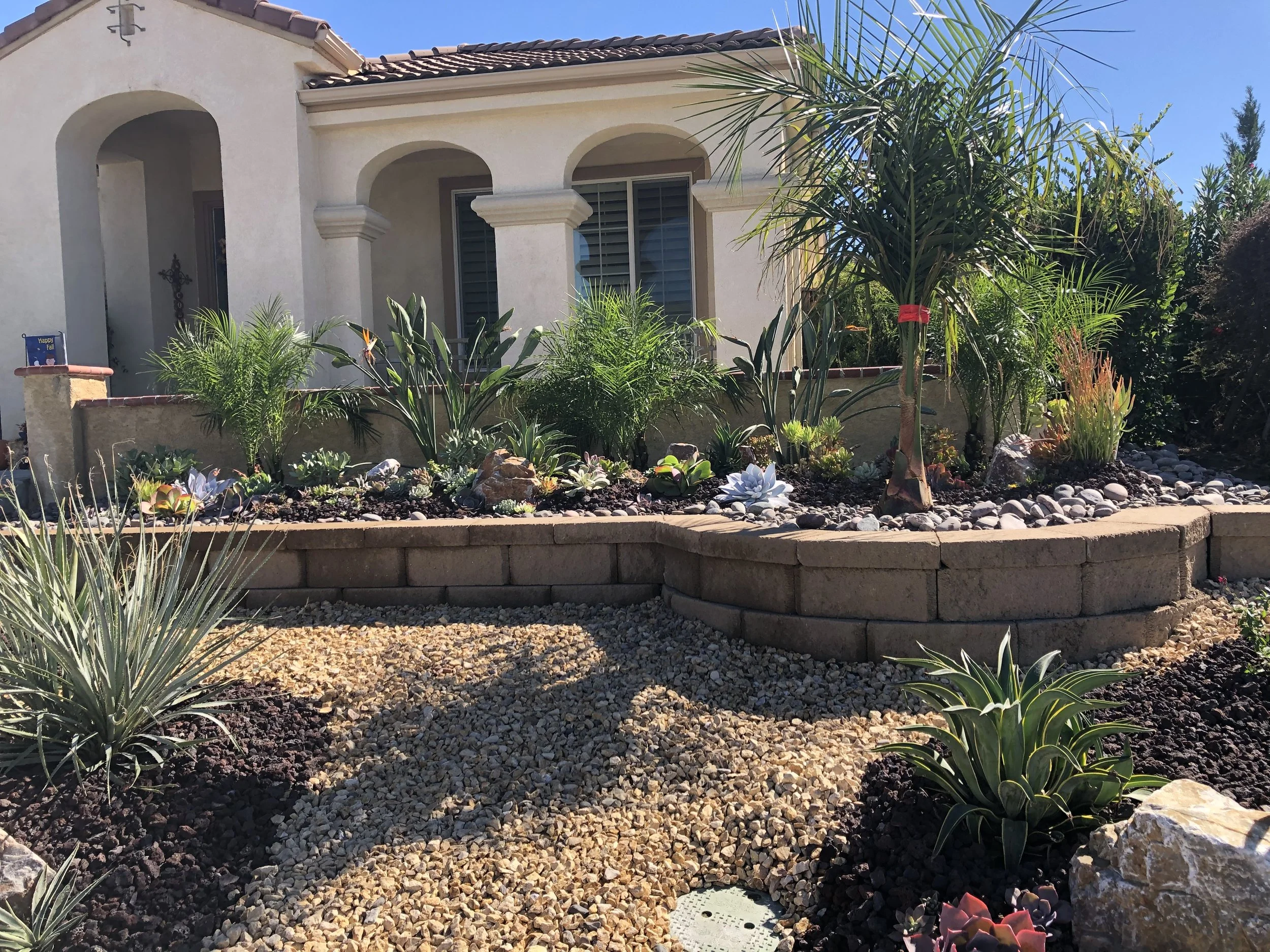 A front yard with desert landscaping featuring various succulents, cacti, and drought-tolerant plants, bordered by a curved brick wall, with a house in the background under a clear blue sky.