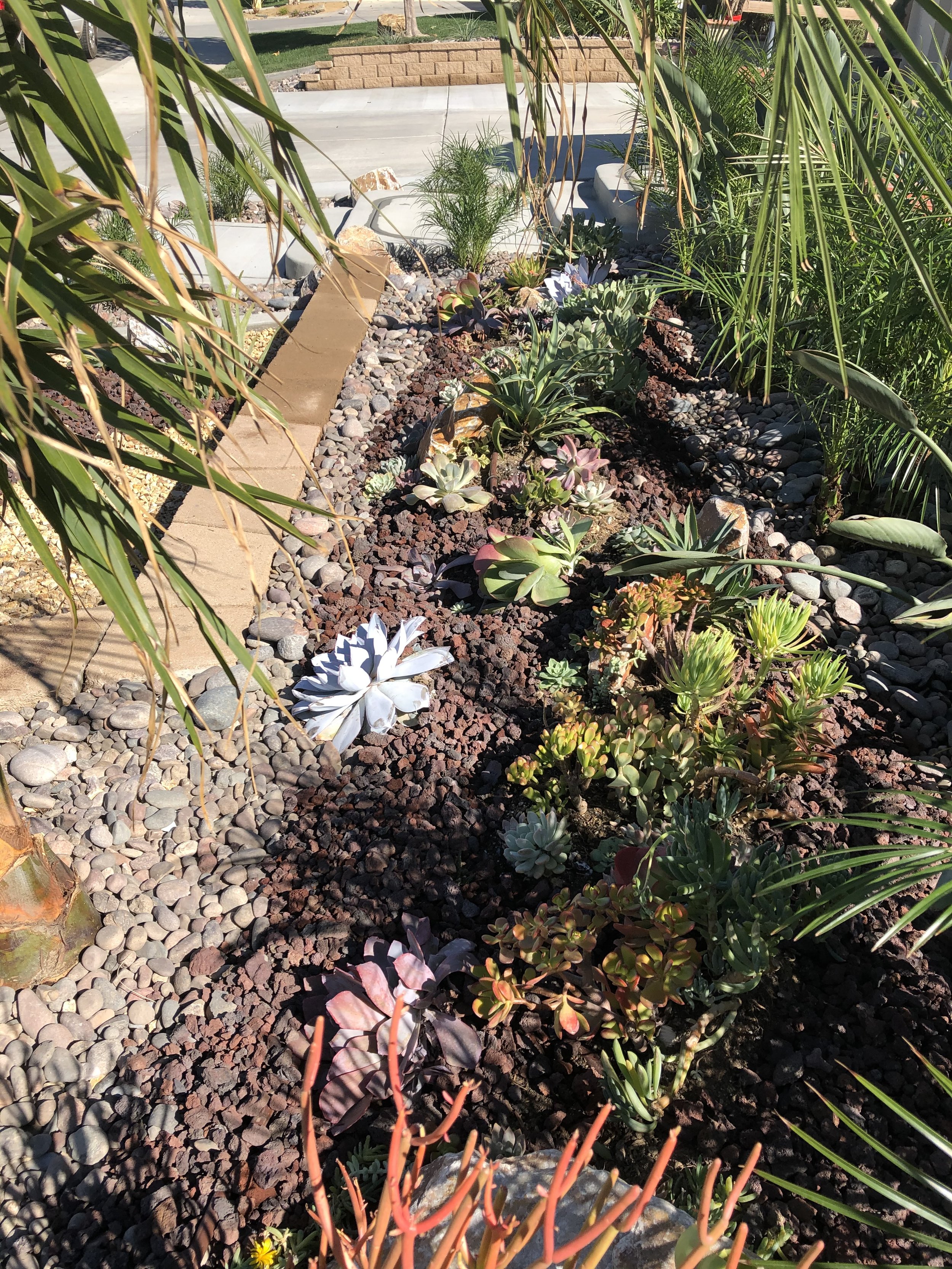 A garden bed with various succulents and plants, bordered with bricks and decorative rocks, located near a sidewalk with a brown brick wall in the background.