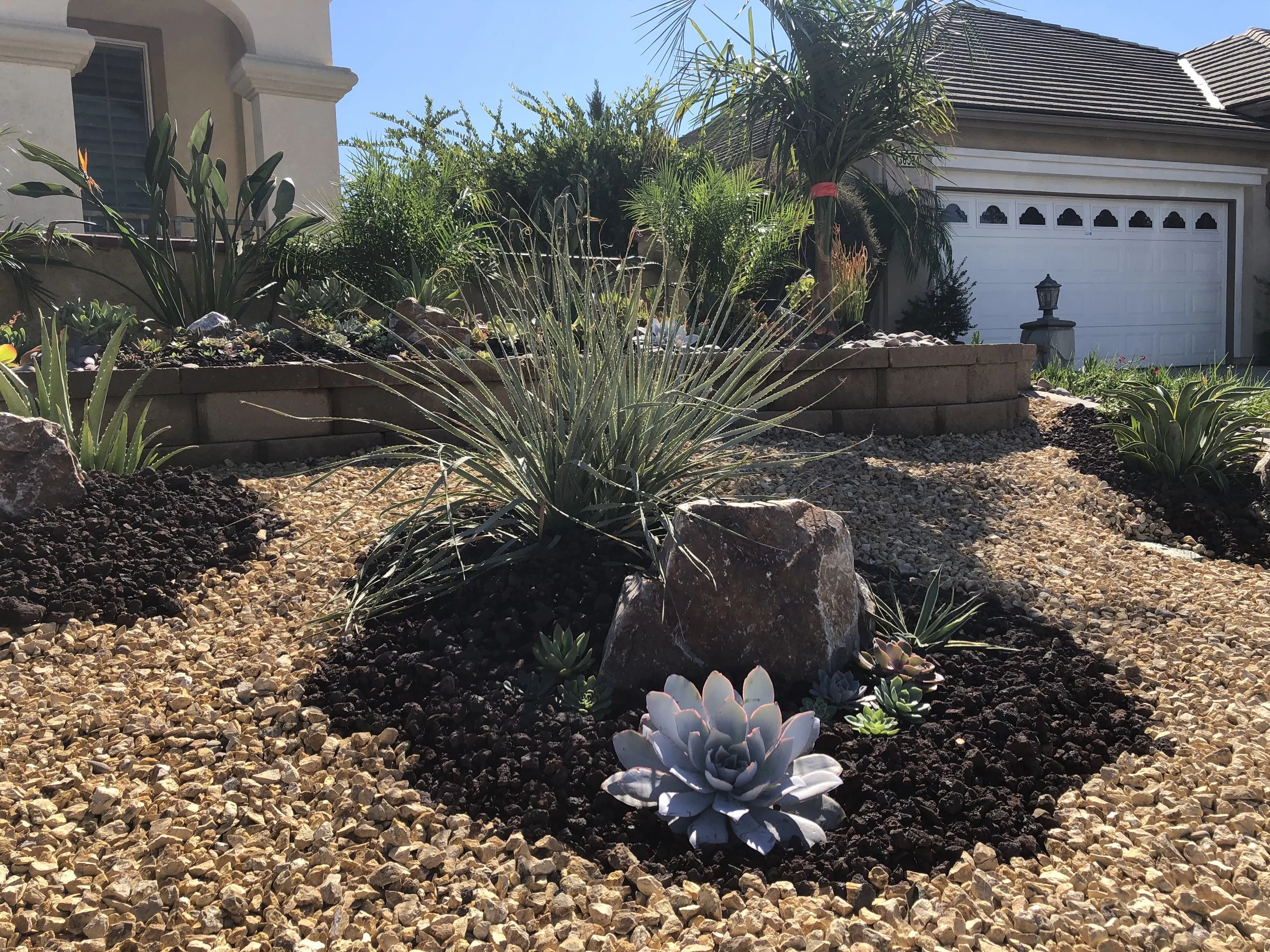 Desert-style garden with succulents, rocks, and gravel in front of a house with a driveway and garage door.