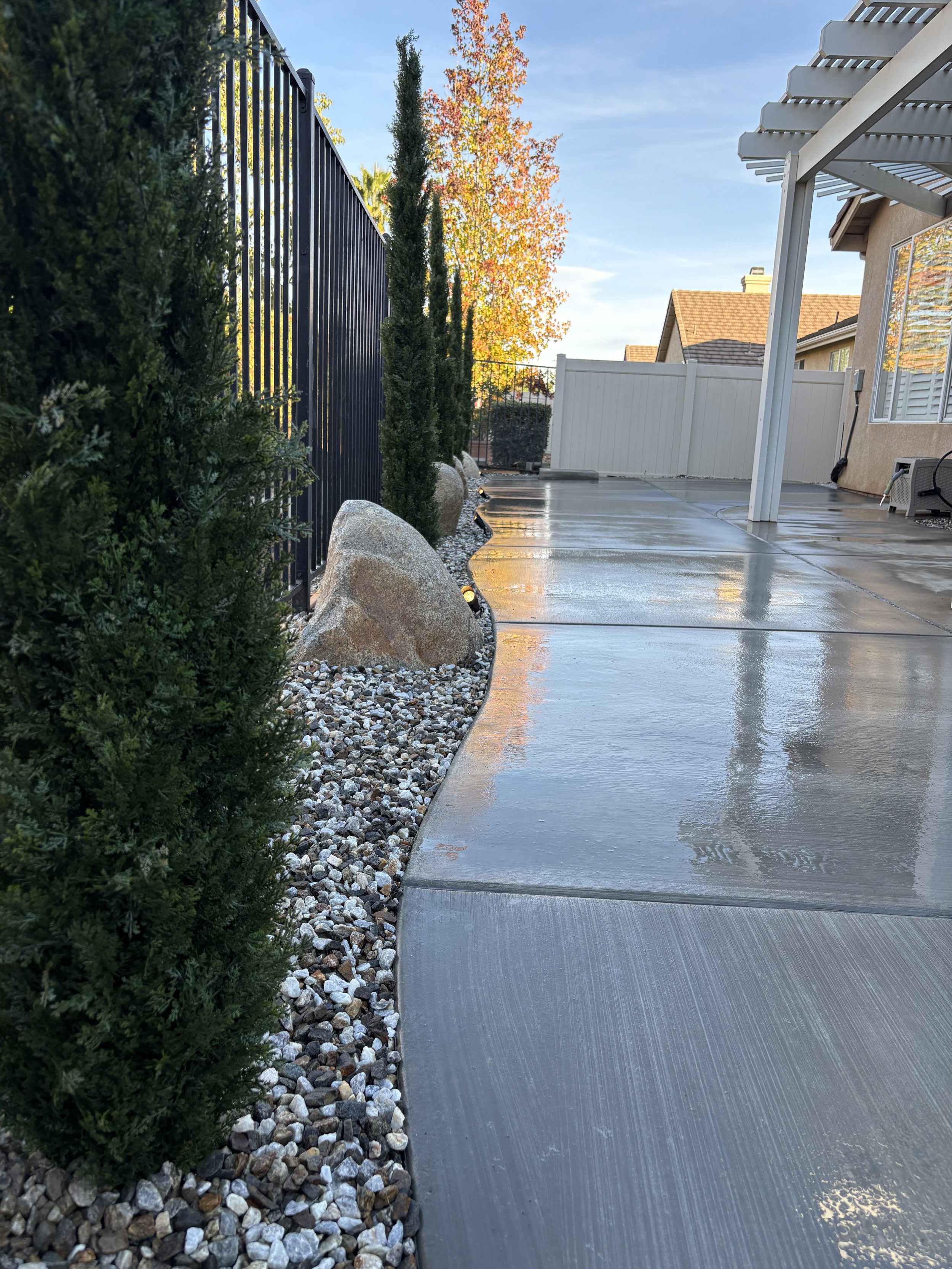 A wet concrete backyard patio with a curved edge next to a rock and plant border, with a house on the right, a white fence at the back, and autumn trees with orange leaves in the background.