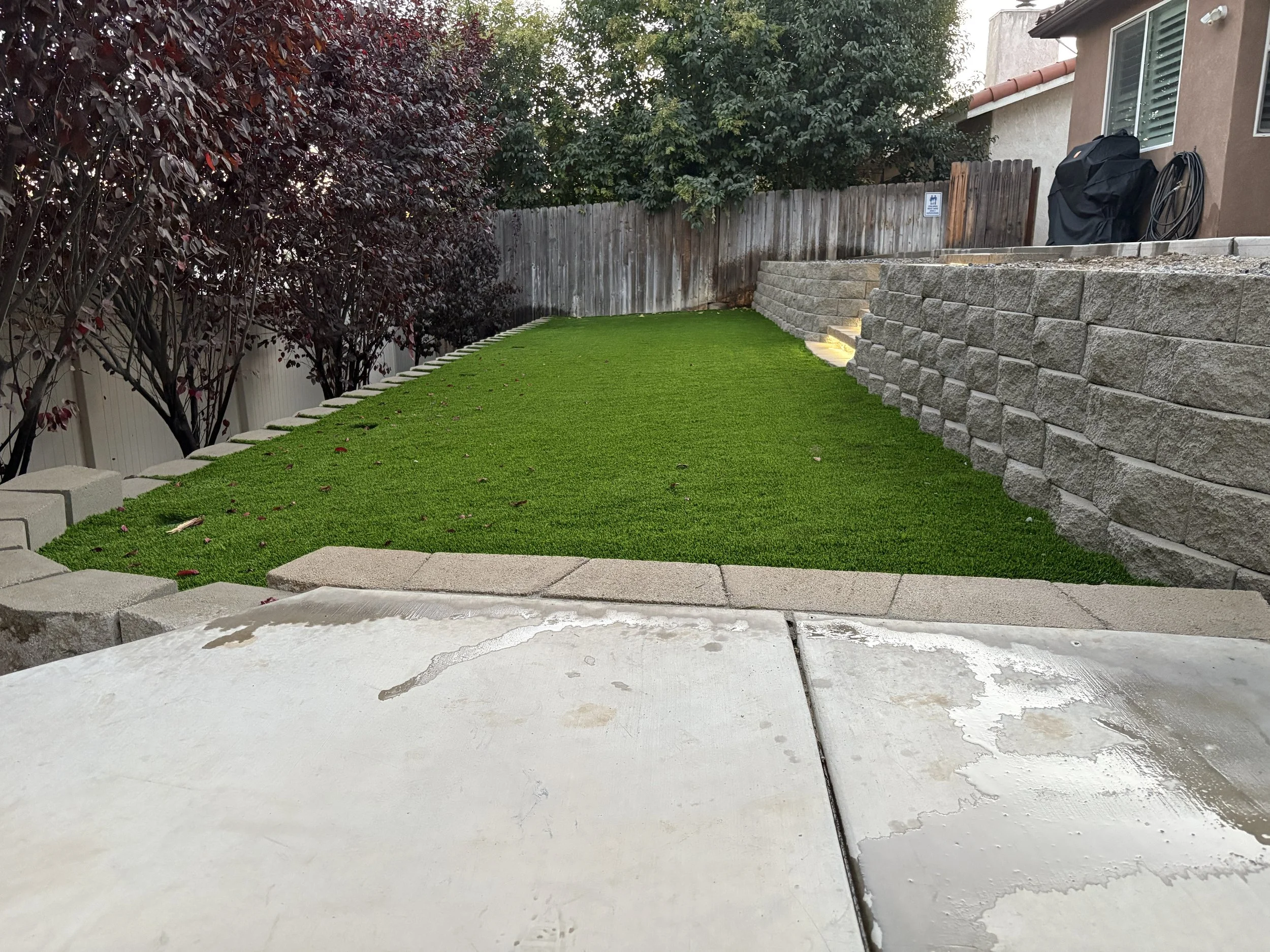 View of a backyard with a green artificial grass lawn, bordered by a curved stone edge and a concrete patio in the foreground. On the left, there are dark red foliage trees, and on the right, a stone retaining wall with outdoor lighting,– Canyon Lake