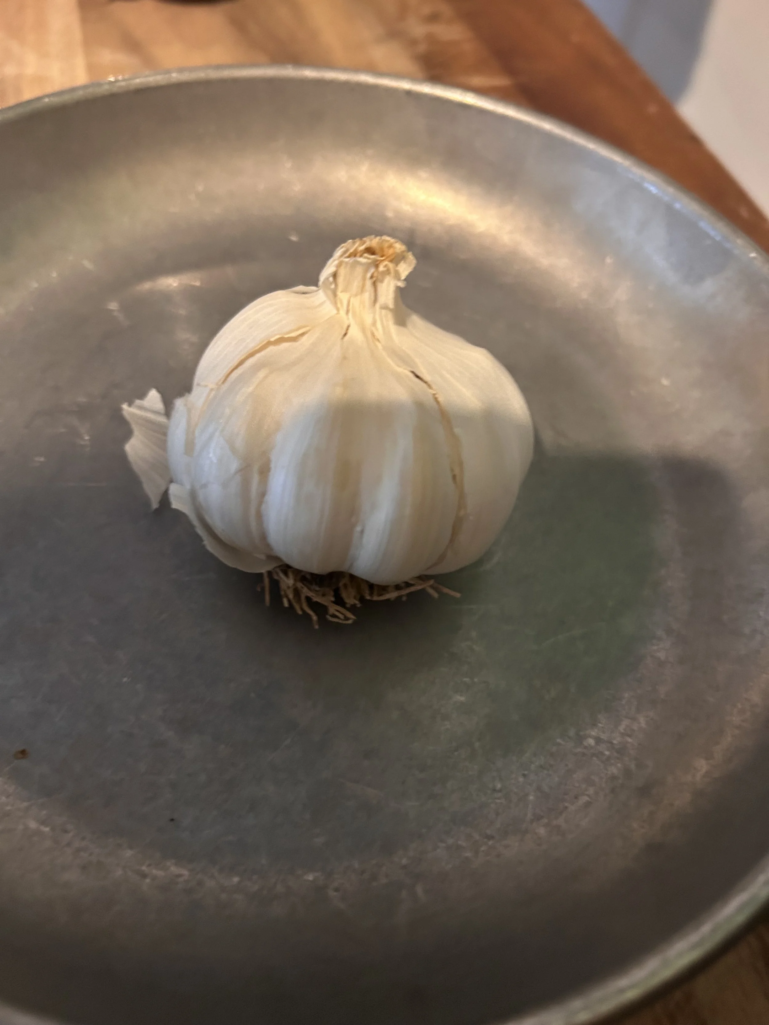 IMG_0380.jpeg