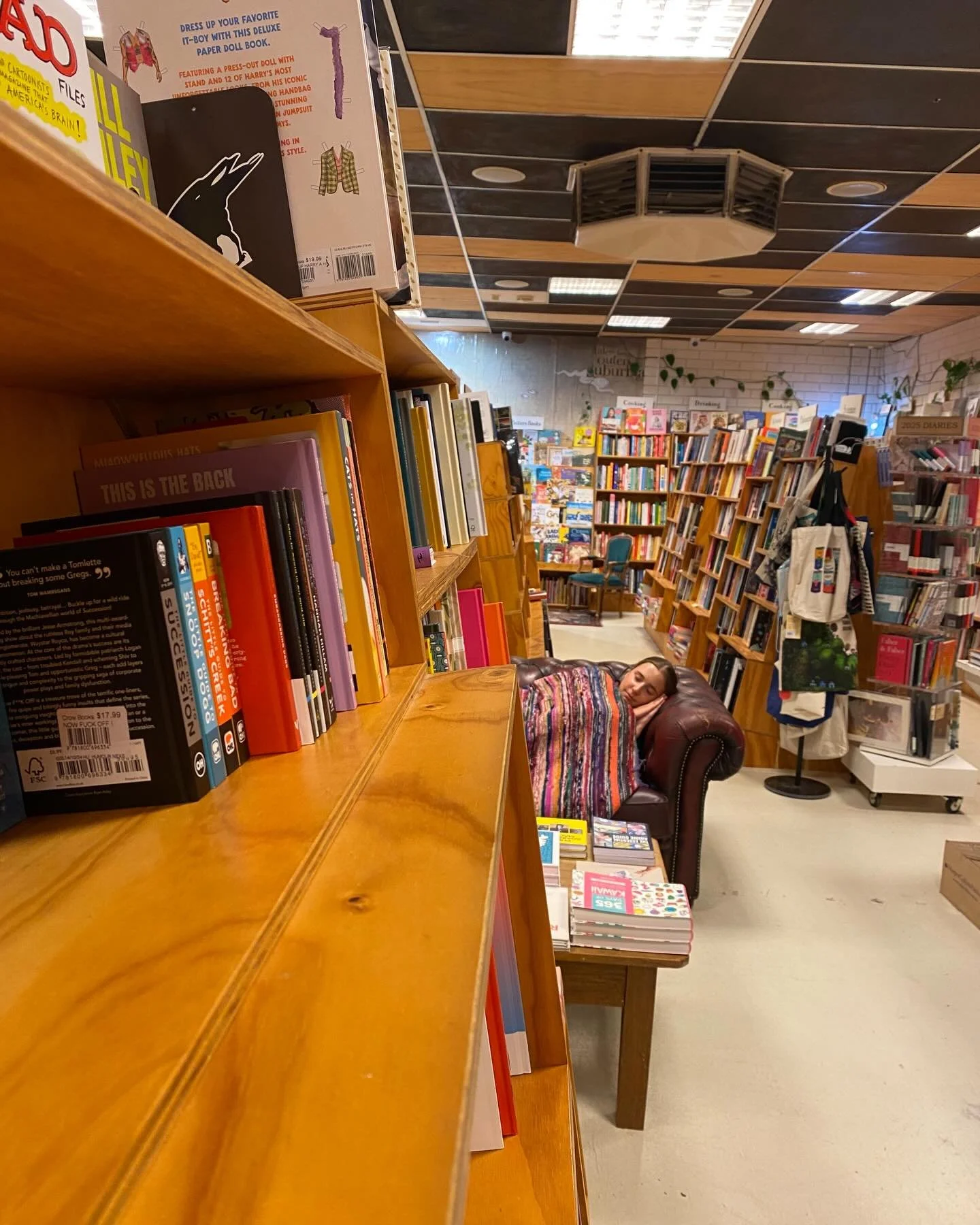 Alert!🚨Crow has been affected by The Great Vic Park Shopping Strip Powercut of 2026 and has had to close for an early night. Repeat: there is a powercut, and we are closed. Back open 9am tomorrow! 💤 

Note - this is an old picture from when we had 