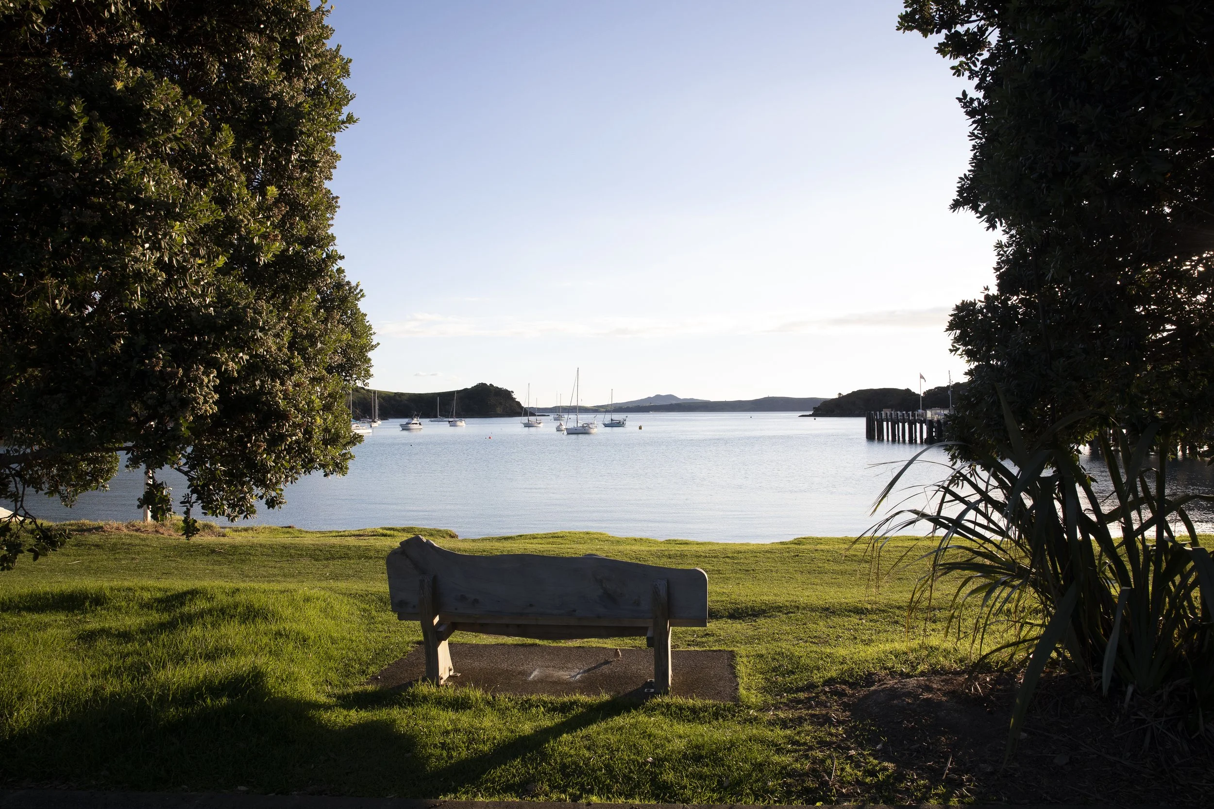 Wooden bench between trees facing Matiatia Bay on Waiheke Island.