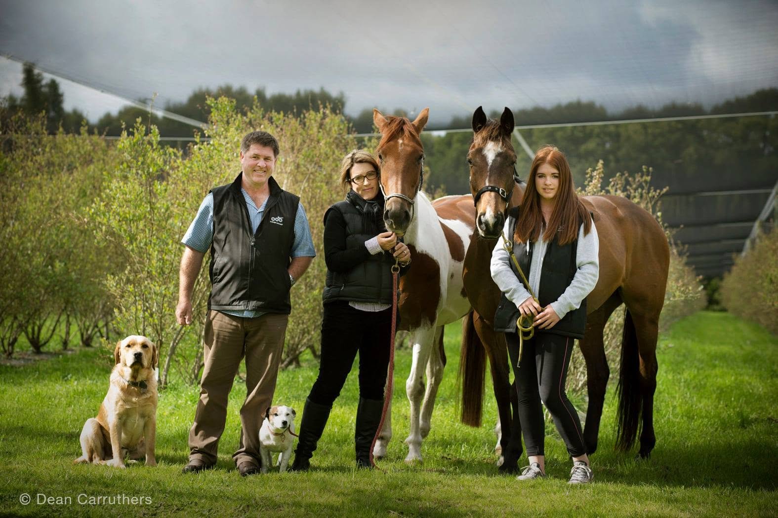 Four people and two dogs standing among rows of young trees, with two horses in the middle of the group. All are outdoors on a cloudy day.