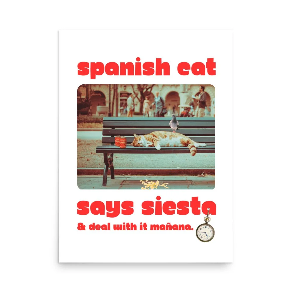 Spanish Cat Says Siesta — Art Print Poster | Mediterranean Wall Art