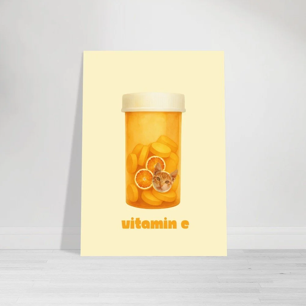 Vitamin Cat Funny Cat Art Poster Unframed, Quirky Cat Wall Art, Cat Lover Gift Orange Cat