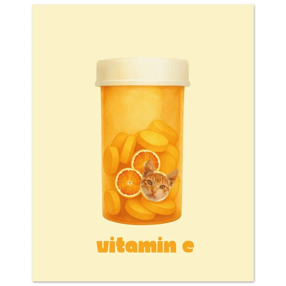 Vitamin Cat — Funny Cat Art Poster | Unframed Print | Cat Wall Art