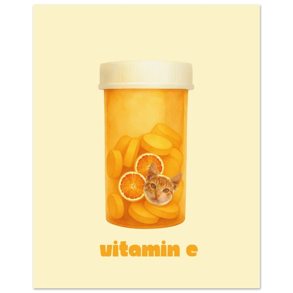 Vitamin Cat — Funny Cat Art Poster | Unframed Print | Cat Wall Art