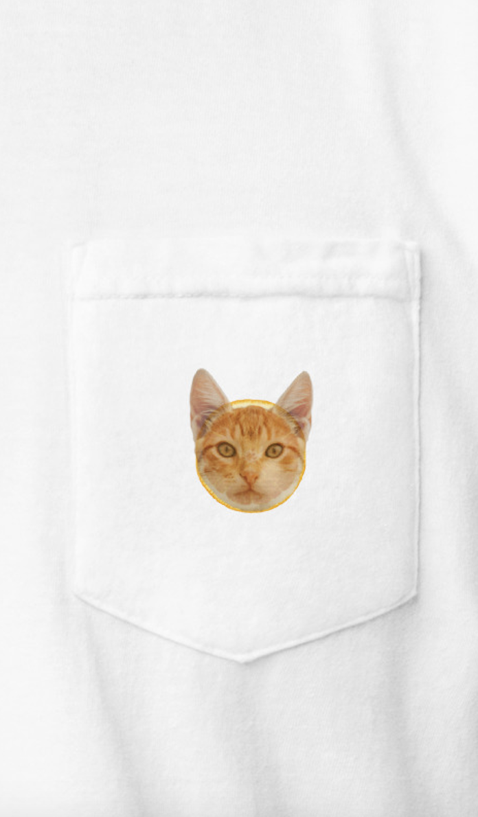 orange cat t-shirt, cat lovers tee, orange cat