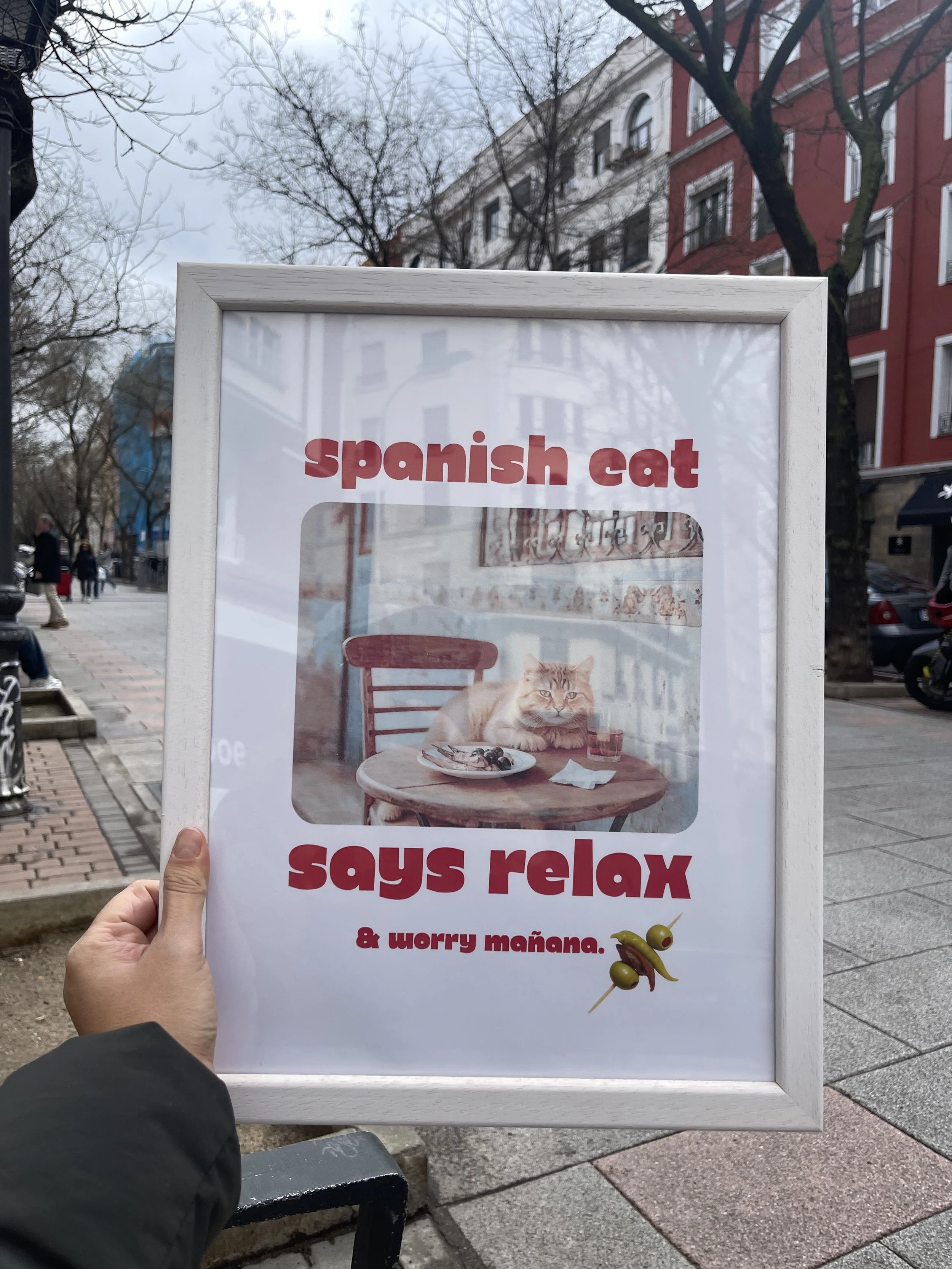 funny cat print, home decor, spain lifestyle