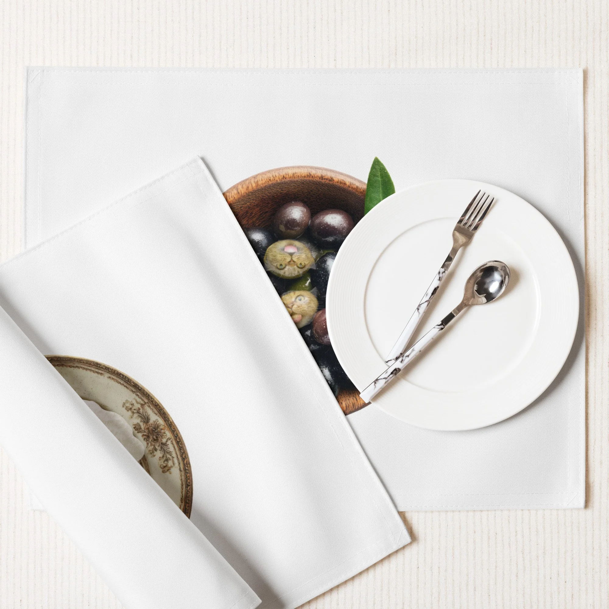 placemat set, cat home decor, cat lovers funny gift