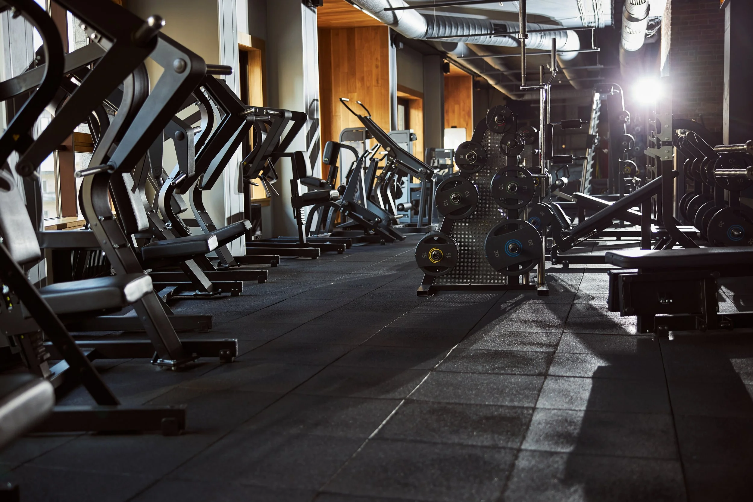 Interior of a modern gym with various workout equipment, including dumbbells, weight machines, and cardio machines, illuminated by natural light.