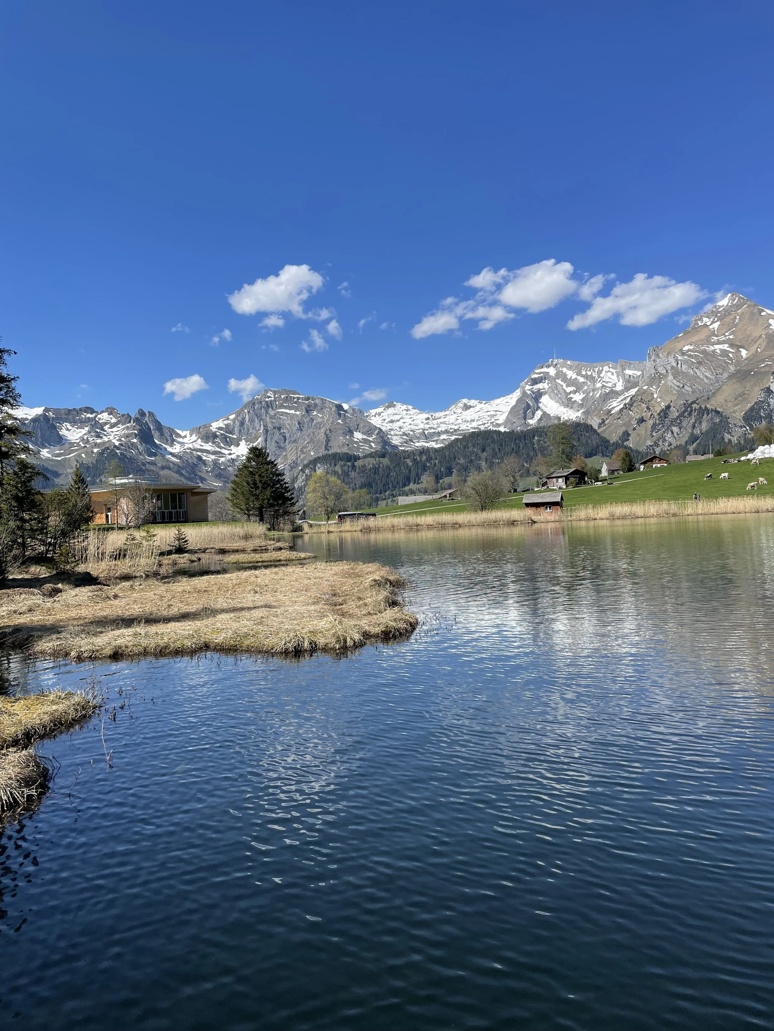 Wildhaus April 2026