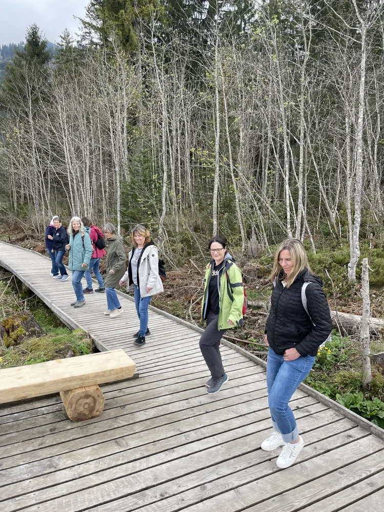 Eine Gruppe von Menschen wandert auf einem Holzsteg durch einen Wald im Frühling, Bäume ohne Blätter und einige grüne Sträucher sind sichtbar.