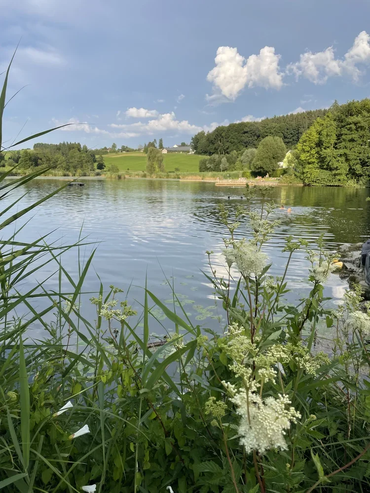Ein ruhiger Fluss umgeben von grünem Ufer, Bäume, Hügel und Himmel mit Wolken im Hintergrund