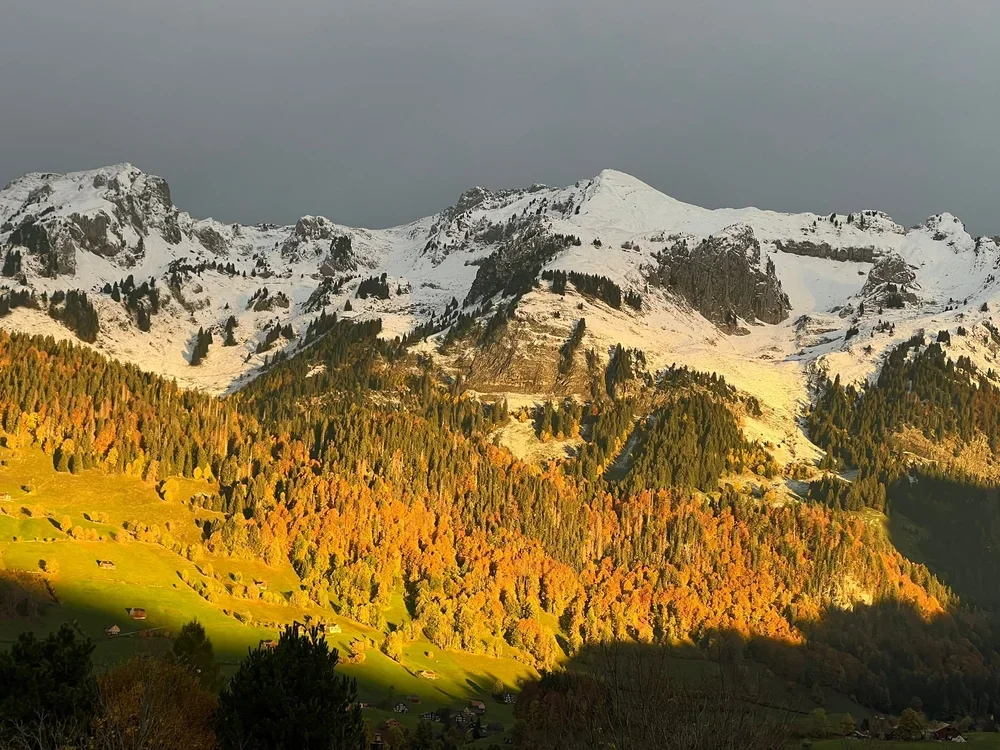 Berglandschaft mit schneebedeckten Gipfeln, grünen Wiesen und herbstlich gefärbten Wäldern im Tal.