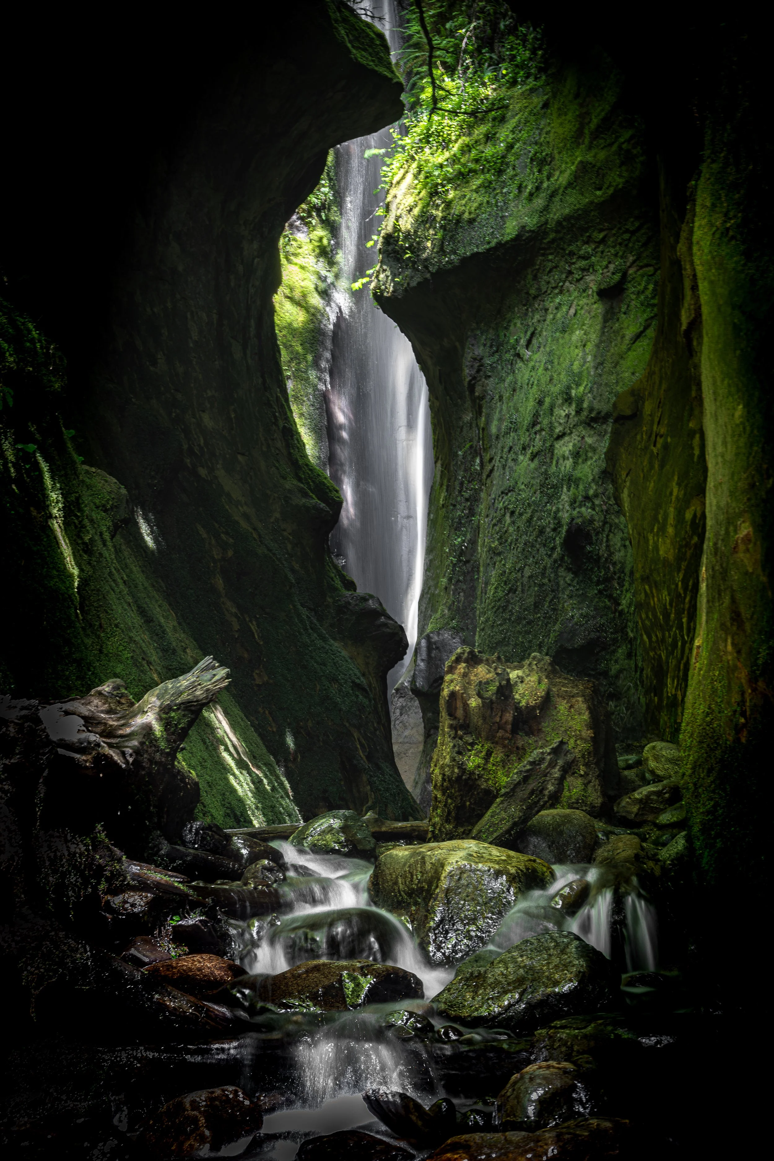 A lush green mossy canyon with a waterfall cascading down the rocks, surrounded by moss-covered trees and boulders.
