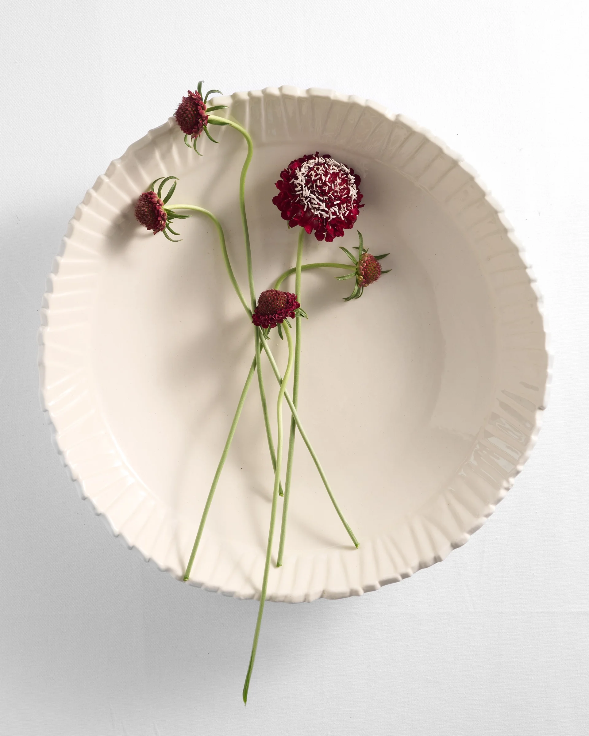 cream-colored ruffled ceramic bowl containing a few long-stemmed, dark red flowers