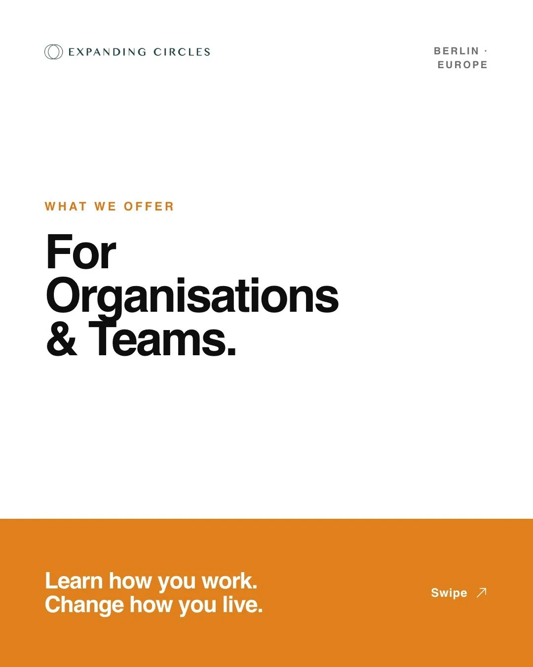 We work with organisations and teams across Europe on the things that actually drive performance and wellbeing: stress and nervous system regulation, burnout prevention and recovery, leadership development, communication under pressure, change manage