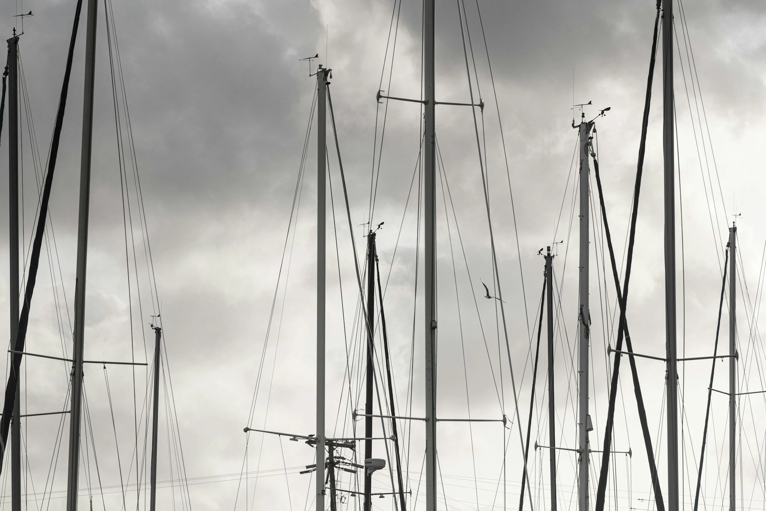 Check the Conditions Before You Play: A Port Ludlow Outdoors Guide