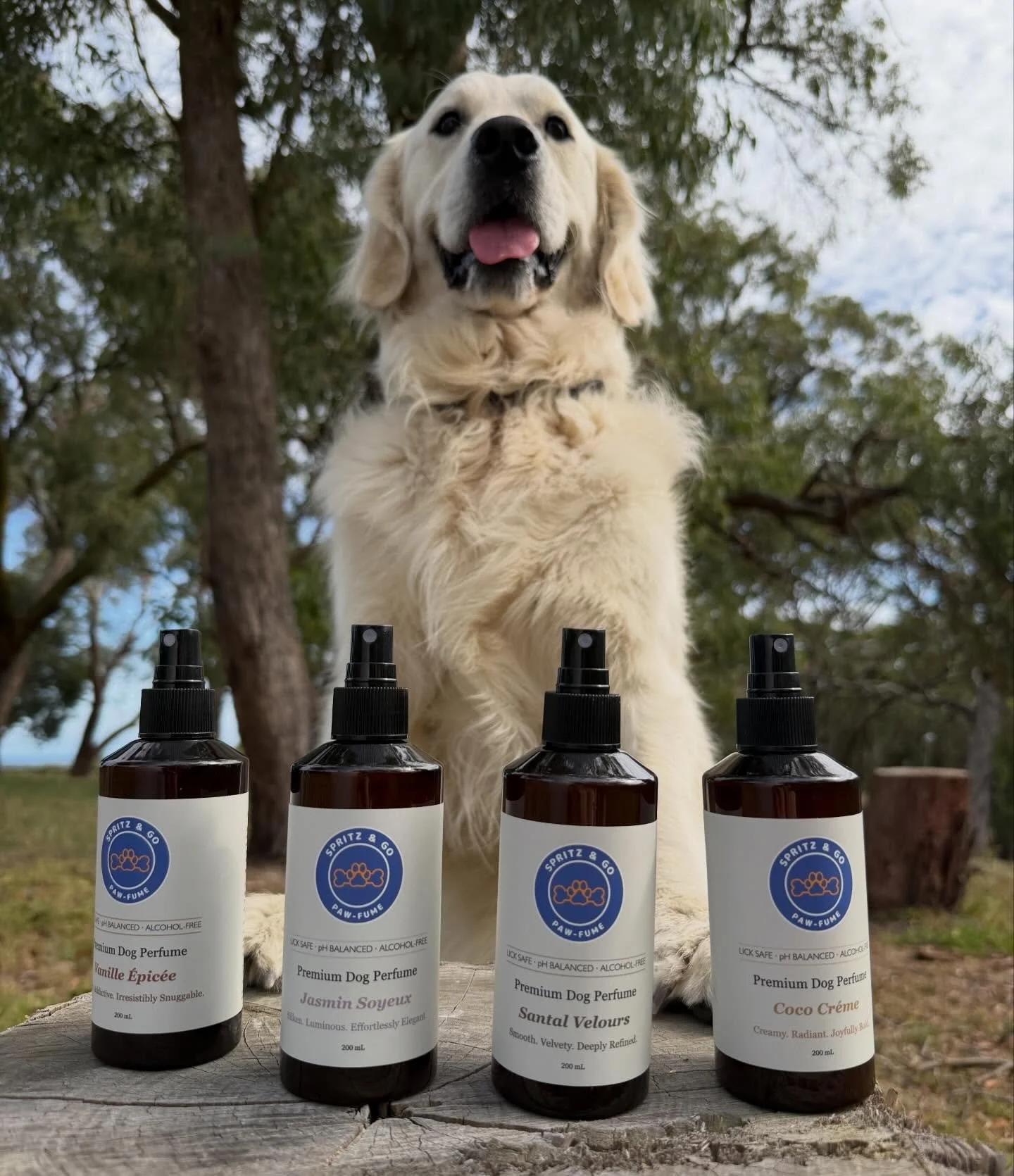 These dog fragrances are safe, gentle and beautifully understated. Designed not just to refresh but to elevate the everyday ritual of caring for your dog. Shop the range via the link in our bio!