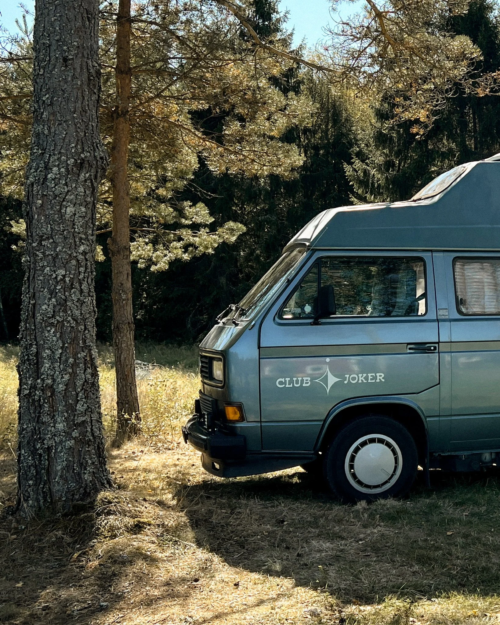 Freistehender Van in der Wildnis