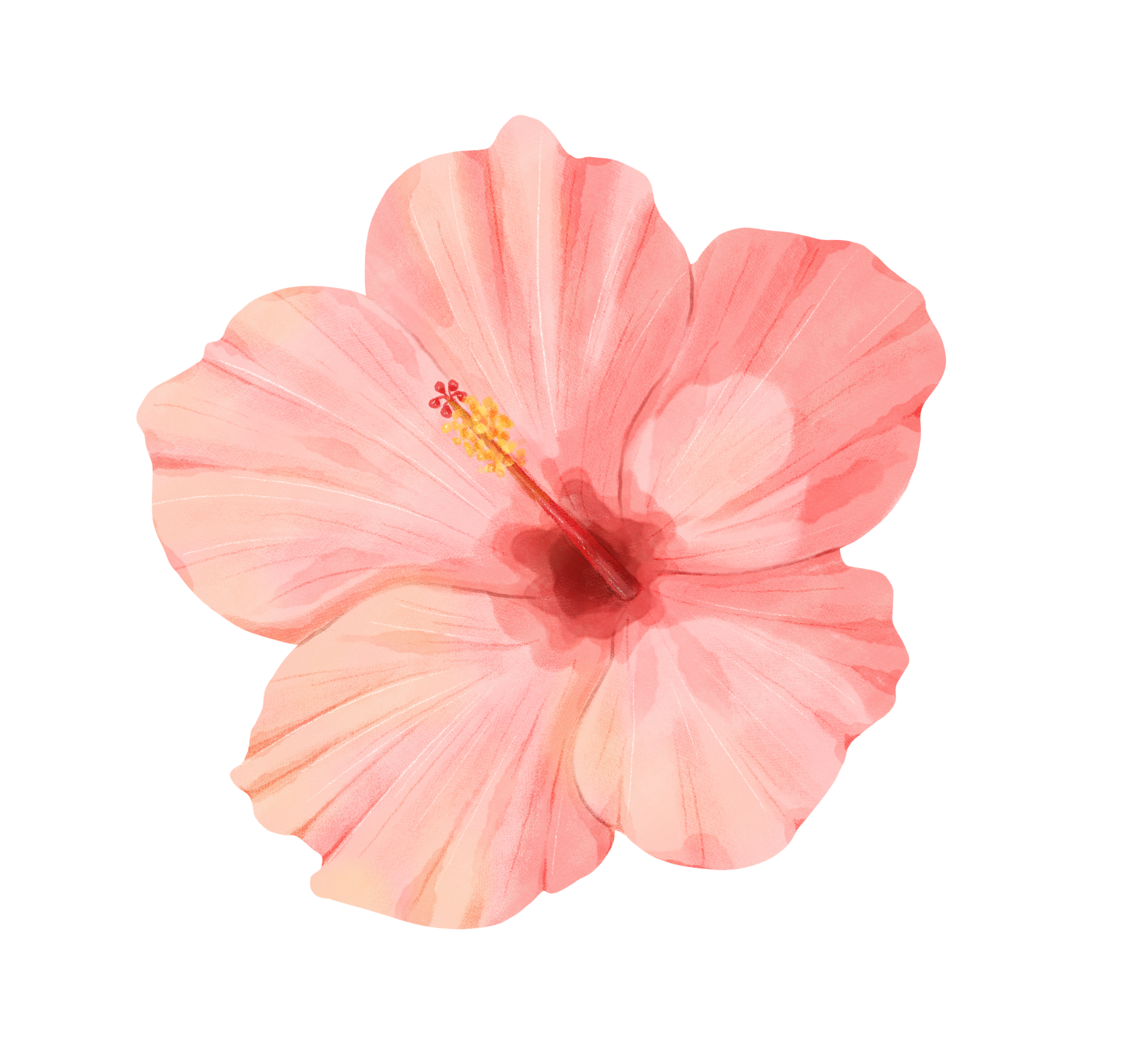 A watercolor illustration of a pink hibiscus flower with detailed petals and yellow stamen.