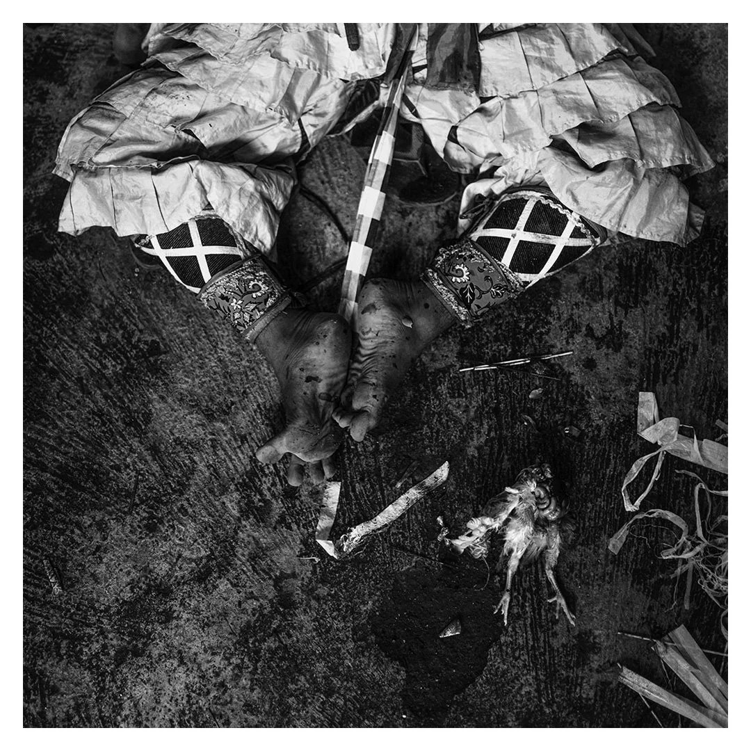 Banyuwangi, Java Est, août 2025 - 
Restes d’une poule sacrifiée utilisés comme offrande lors d’une performance Jaranan. Ces rituels accompagnent les phases de transe et soutiennent les danseurs dans leur passage vers l’état de possession.