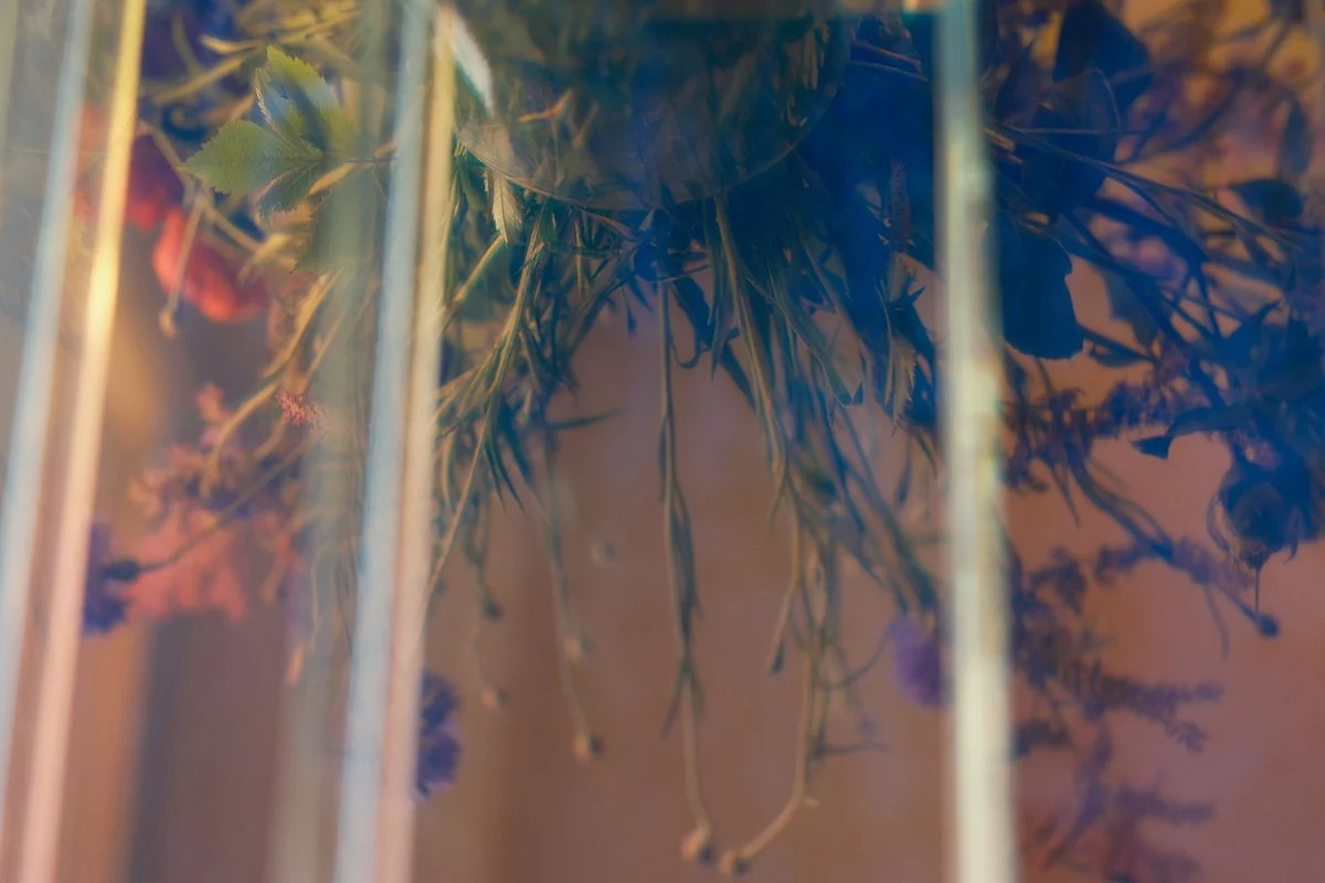 Künstlerisch unscharfe Blumenaufnahme – sinnliche Atmosphäre im Therapieraum.