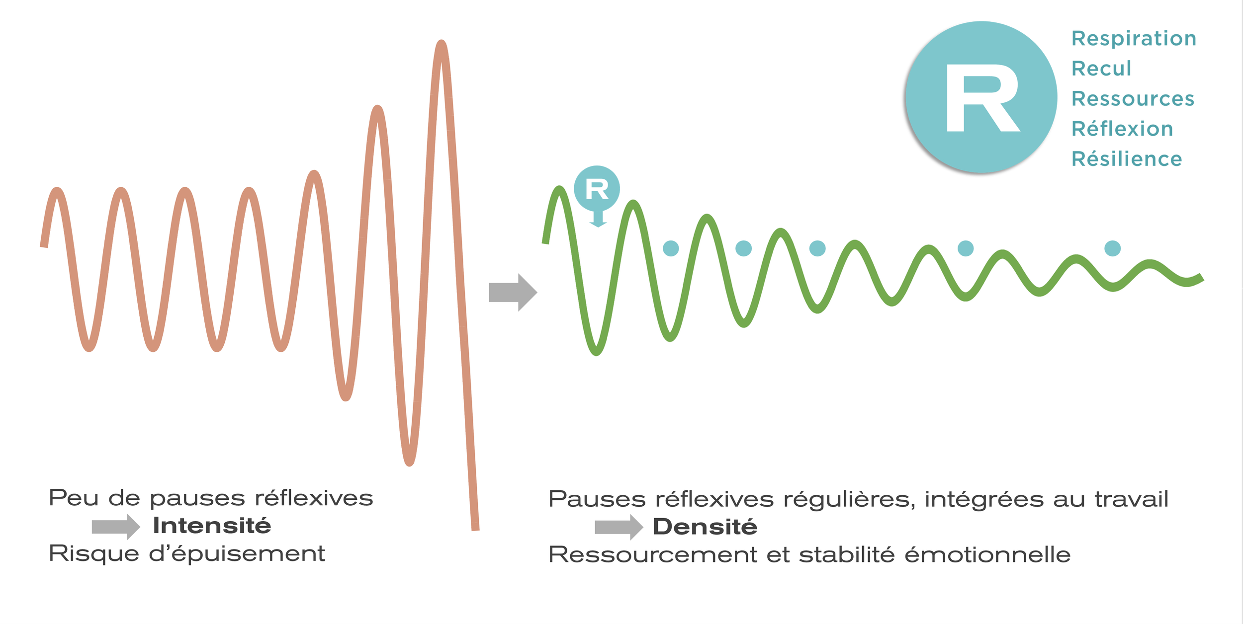 Schéma illustrant le cycle de respiration et de récupération émotionnelle avec des pauses réflexives régulières, indiquant une réduction du risque d'épuisement et un renforcement de la stabilité émotionnelle.