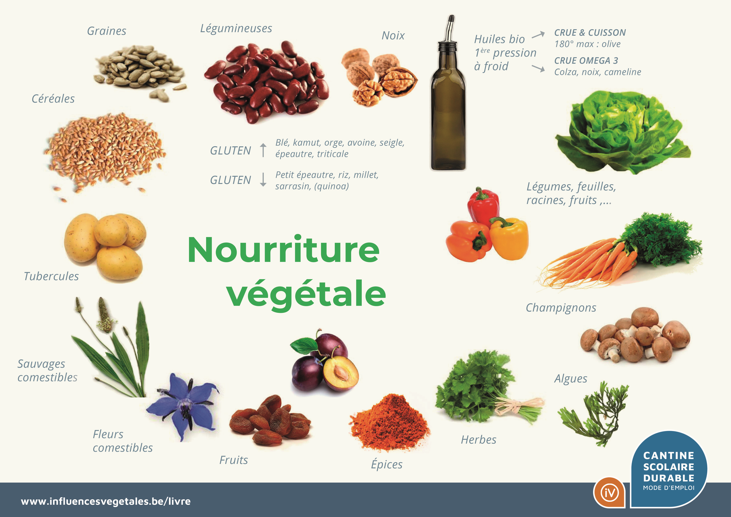 Visuel présentant les différentes catégories d'aliments végétaux.