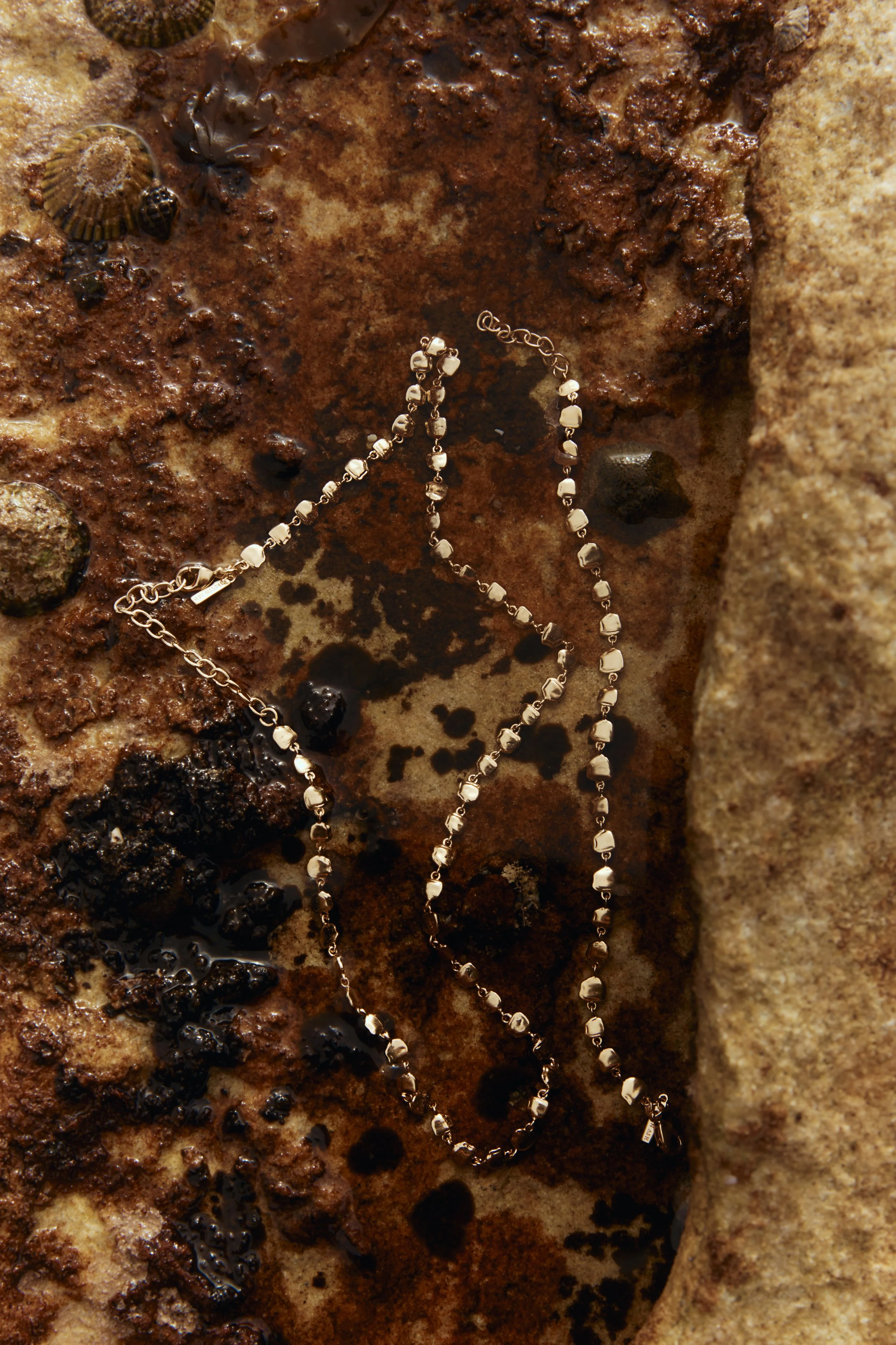 240910_Kirsten Ash_04_452.jpg