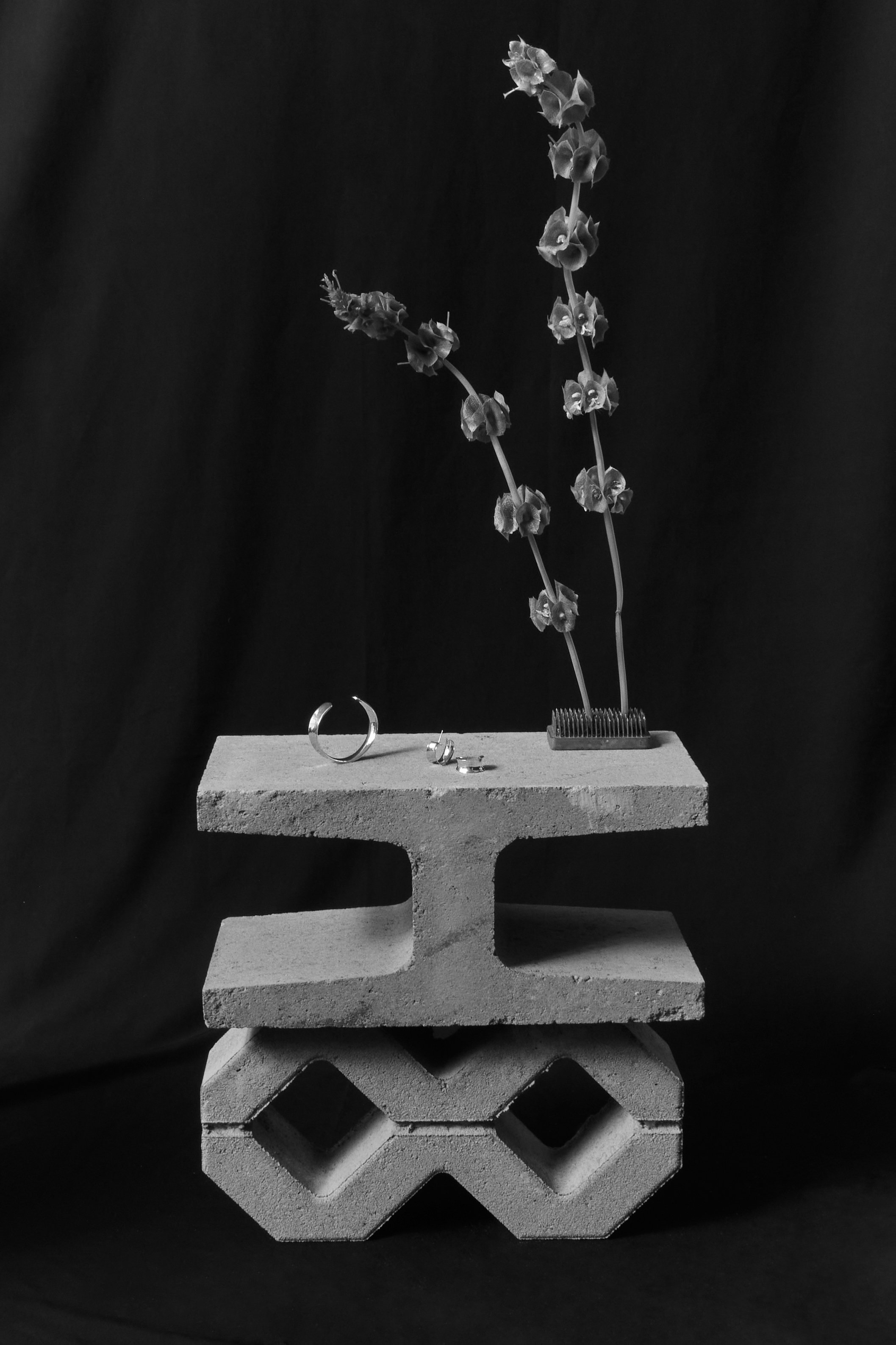 20220621_MarissaZiesing_Shot_10_089 1.JPG