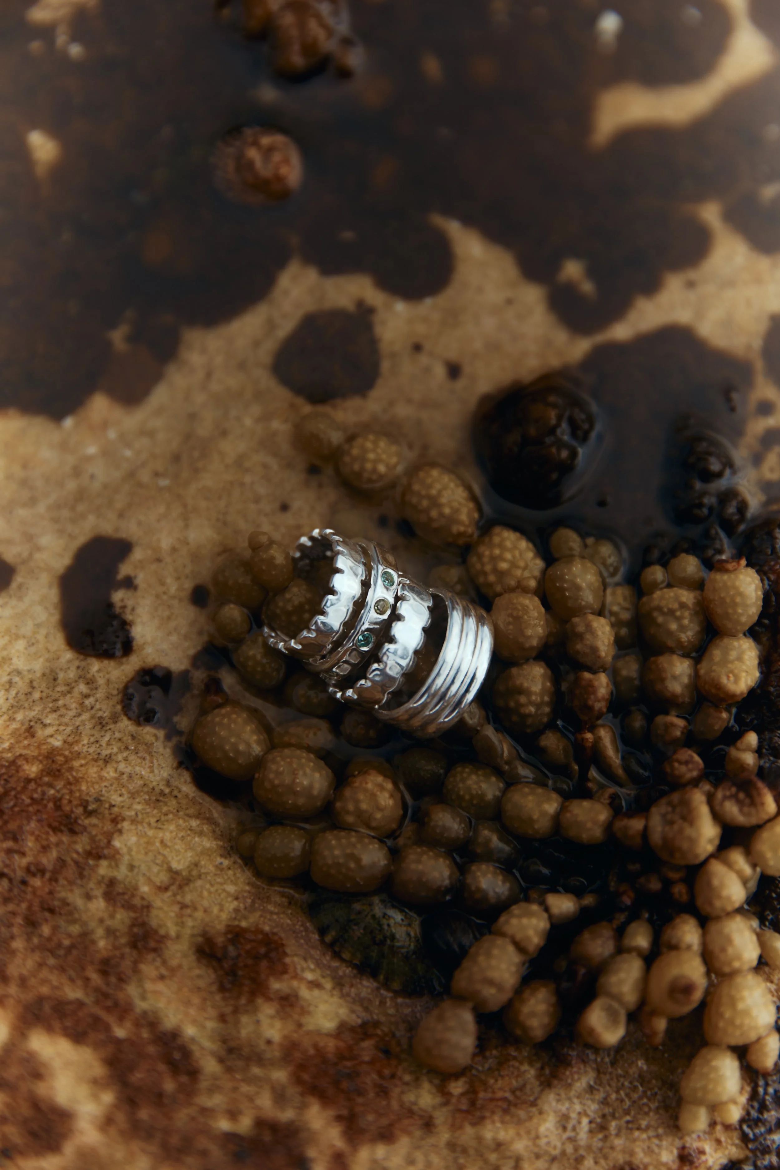 240910_Kirsten Ash_04_469.jpg