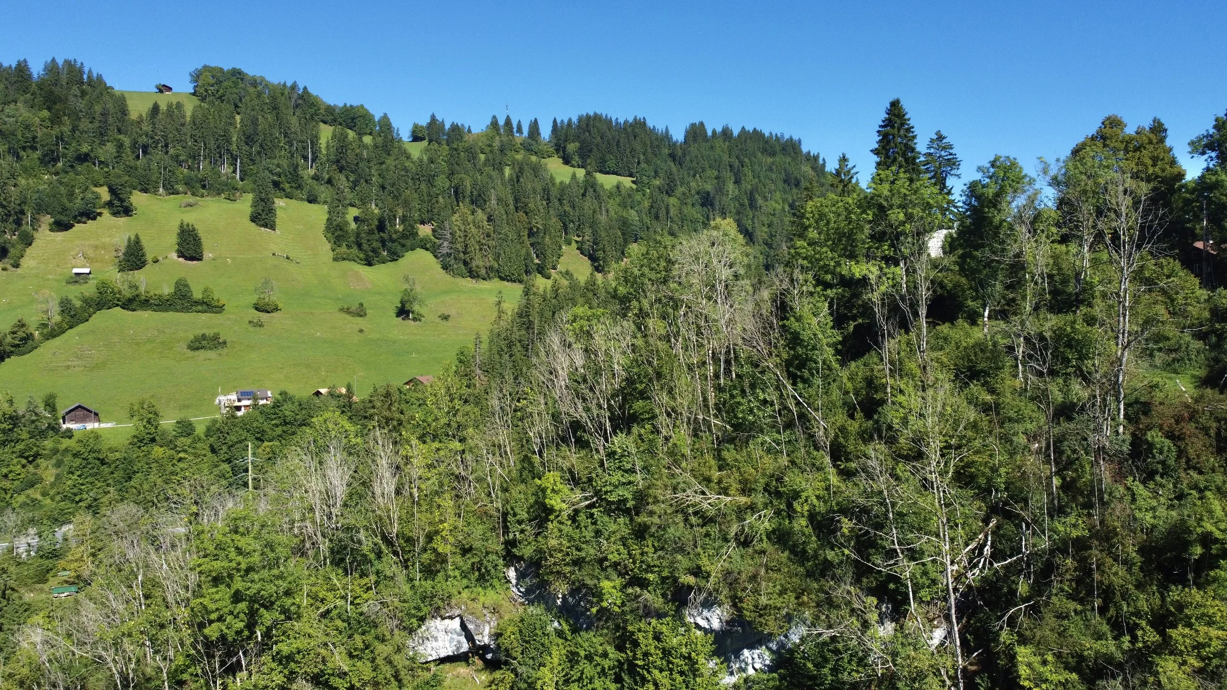 dji_fly_20250831_110812_523_1756631344335_photo_optimized 2.jpg